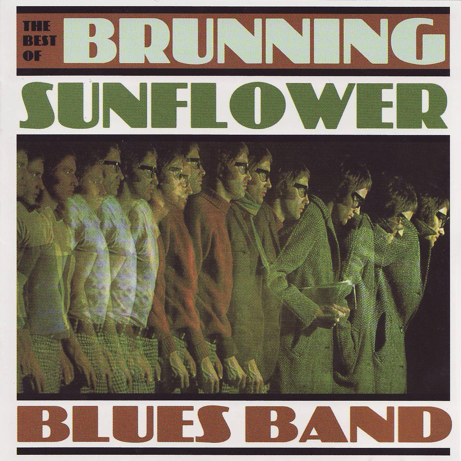 Постер альбома The Best of Brunning Sunflower Blues Band