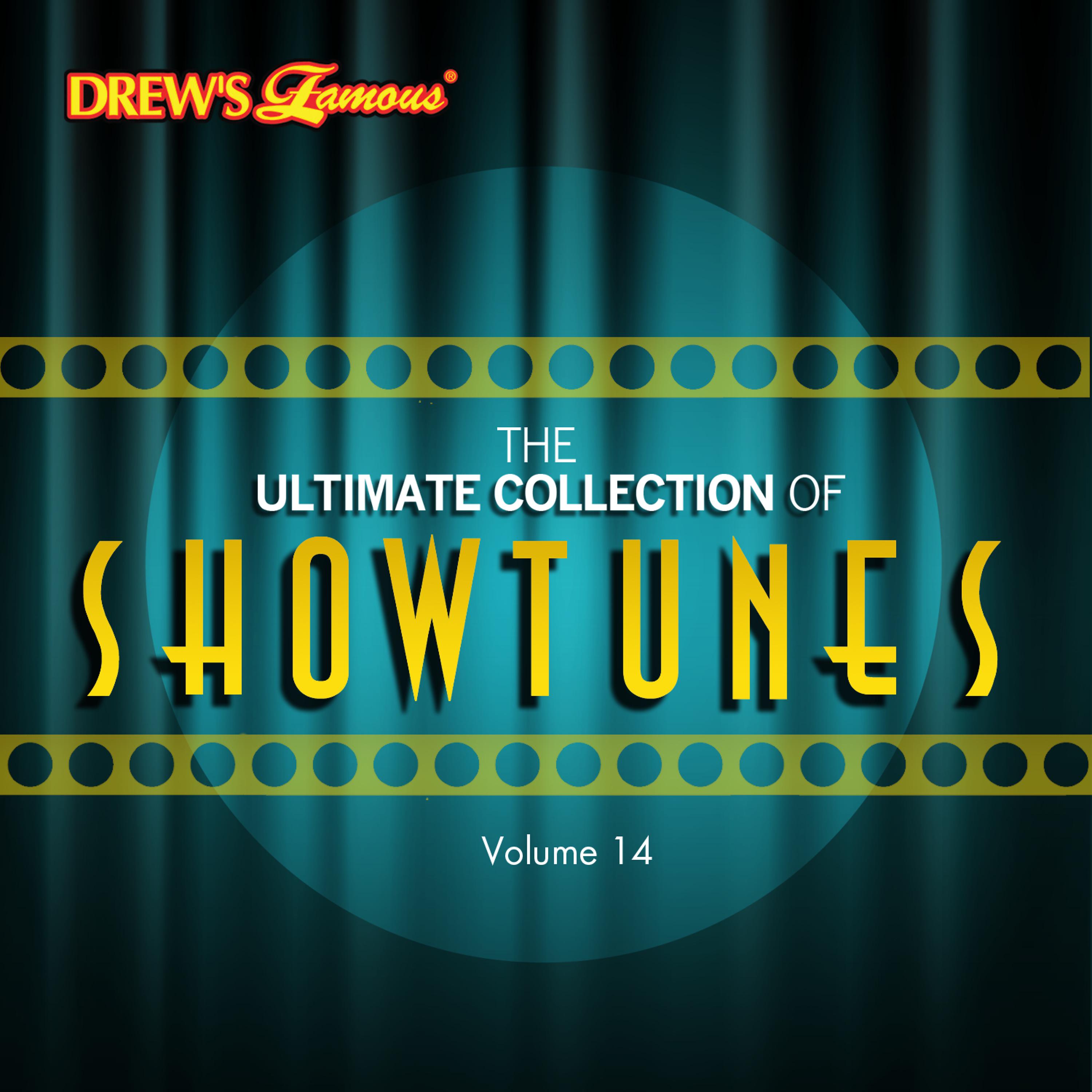 Постер альбома The Ultimate Collection of Showtunes, Vol. 14