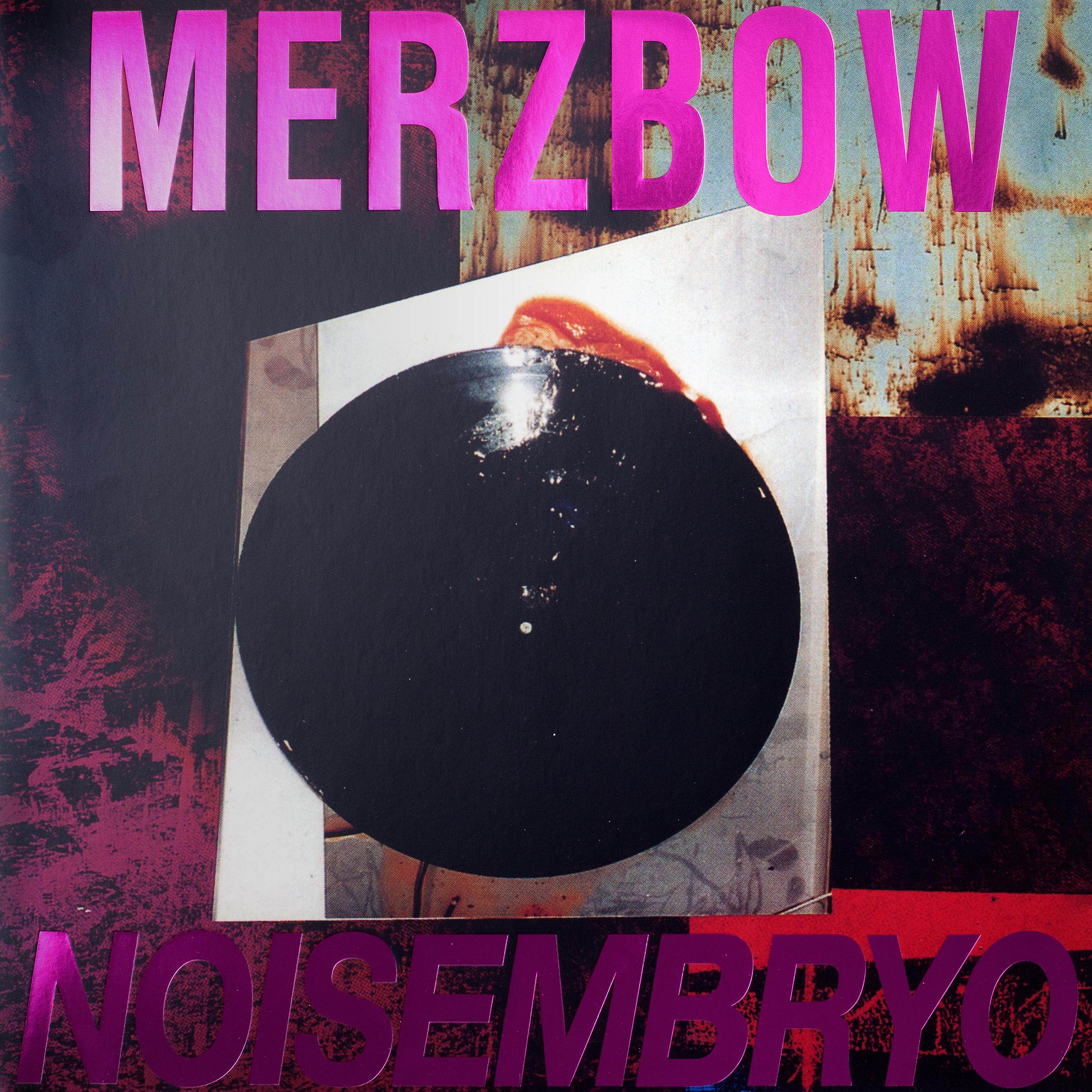 Постер альбома Noisembryo / Noise Matrix