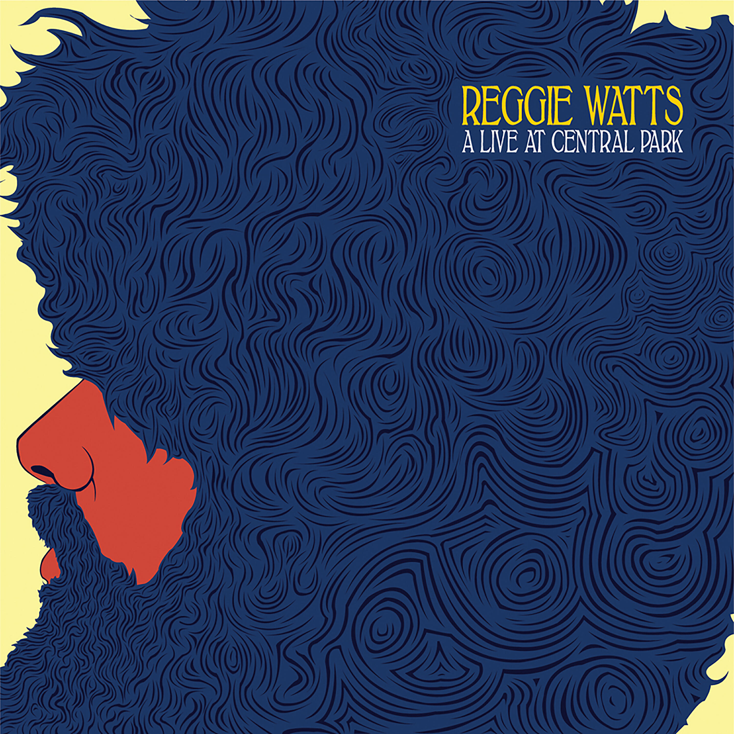 Reggie Watts - Boroughs
