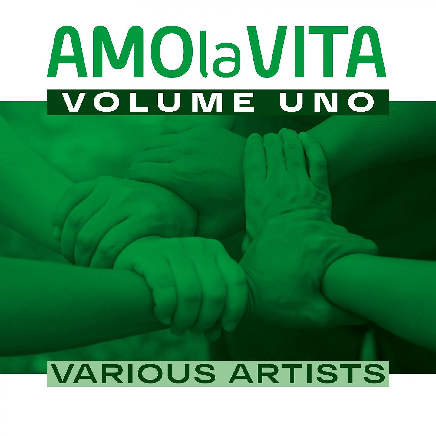 Постер альбома Amo la vita, Vol. 1