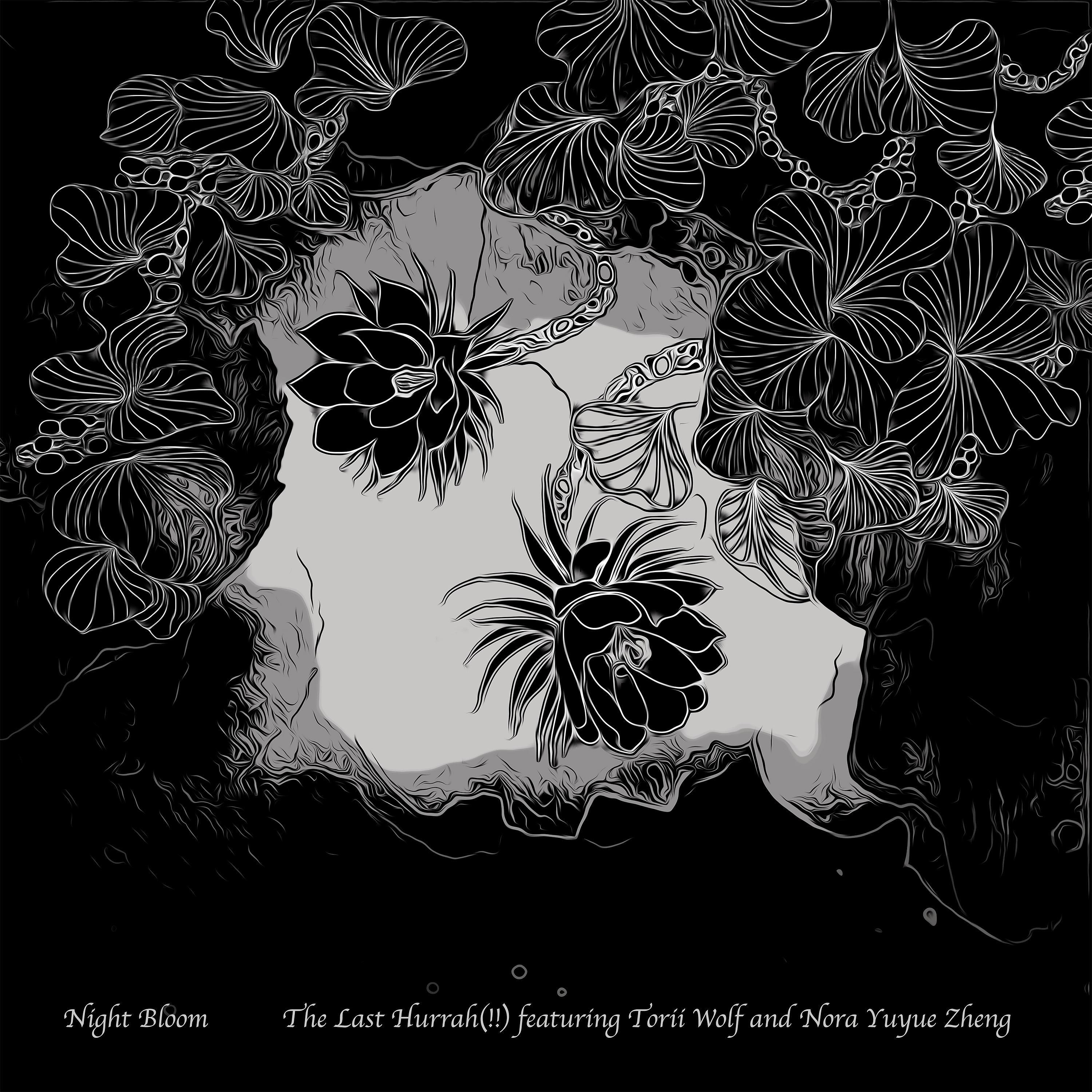 Постер альбома Night Bloom