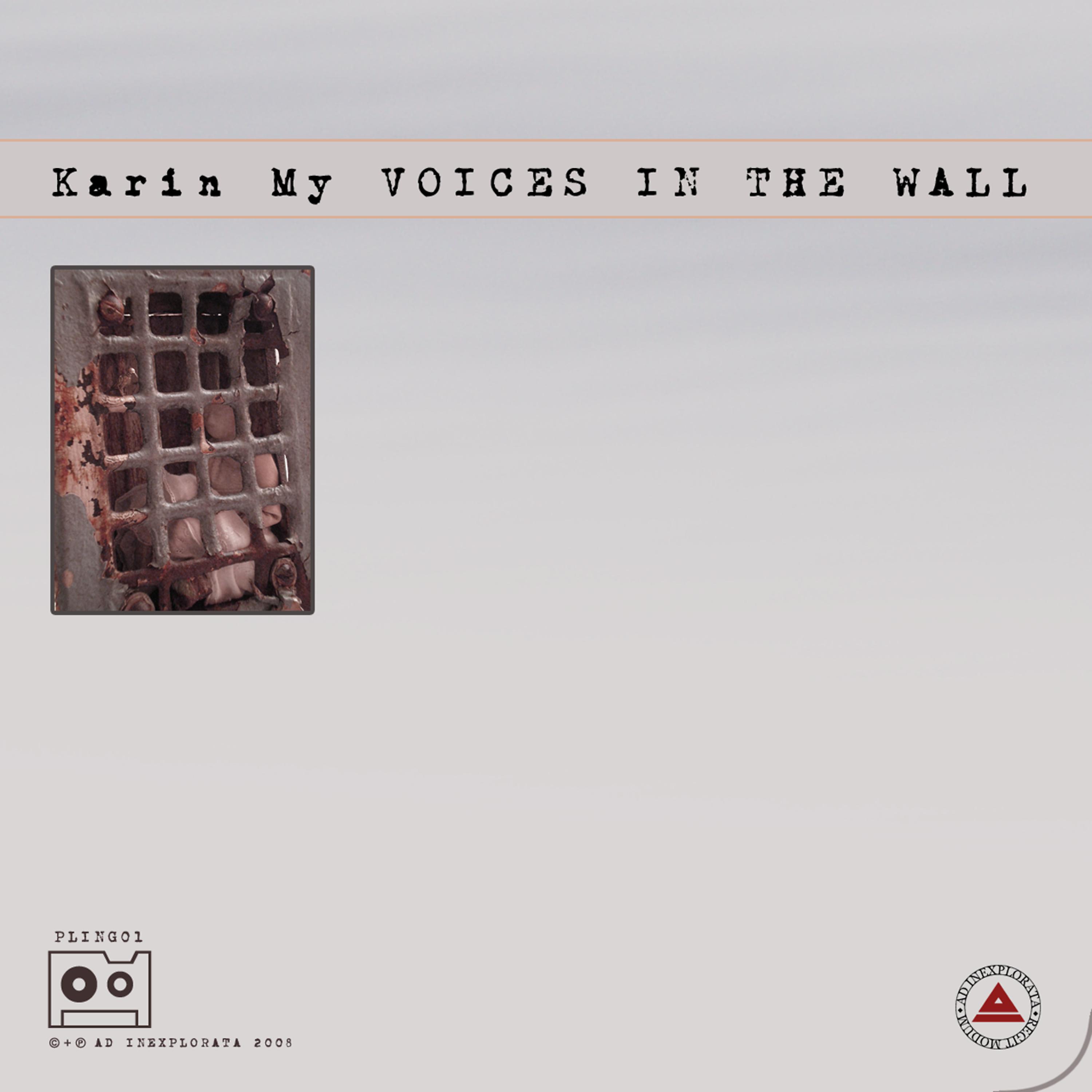Постер альбома Voice in the wall