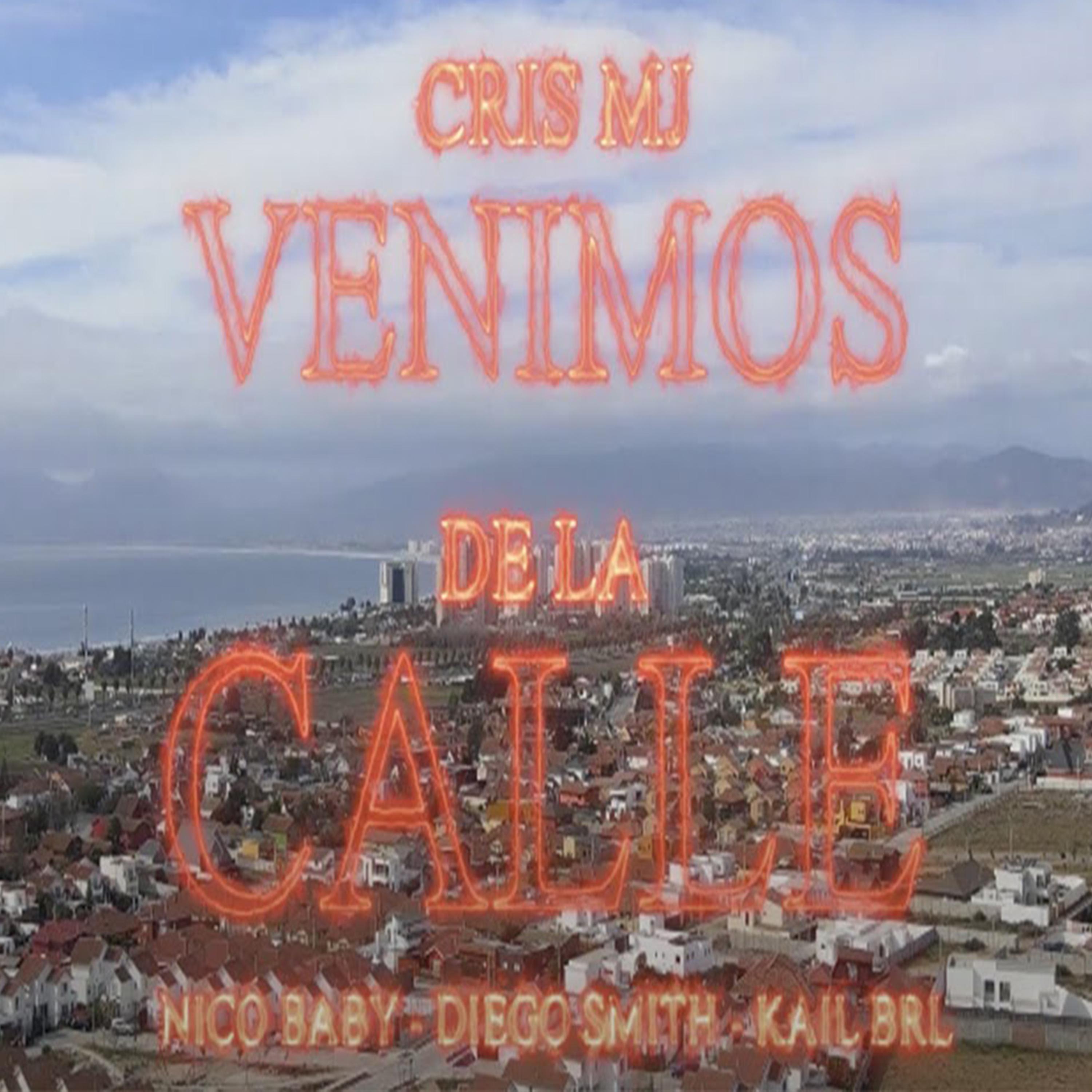 Постер альбома Venimos de la Calle (Remix)