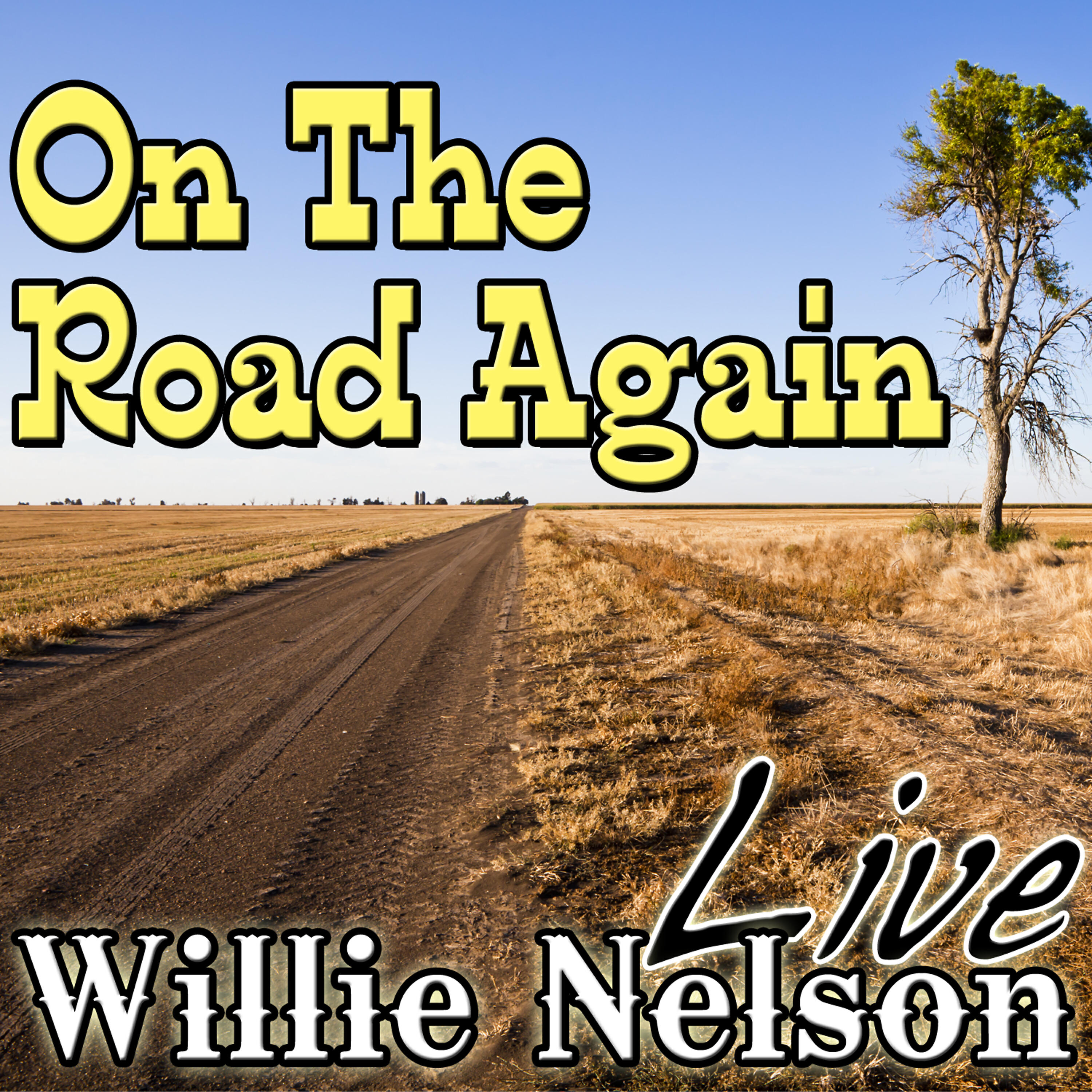 Willie Nelson - Seven Spanish Angels (Live)