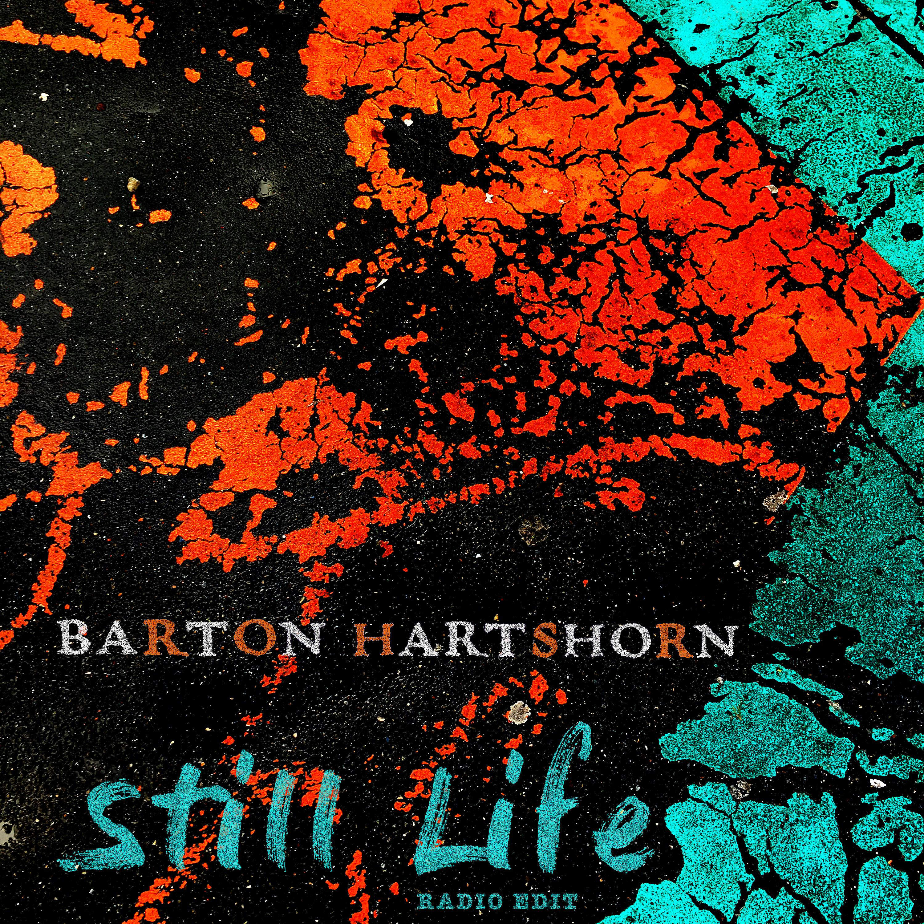 Постер альбома Still Life (Radio Cut)
