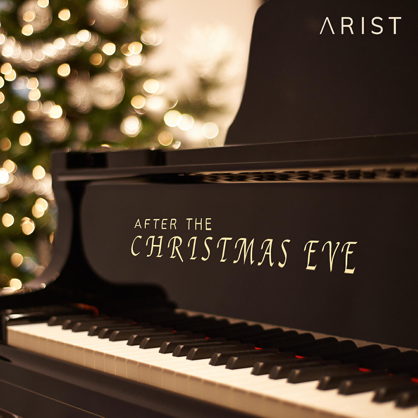 Arist Vibes - After the Christmas Eve