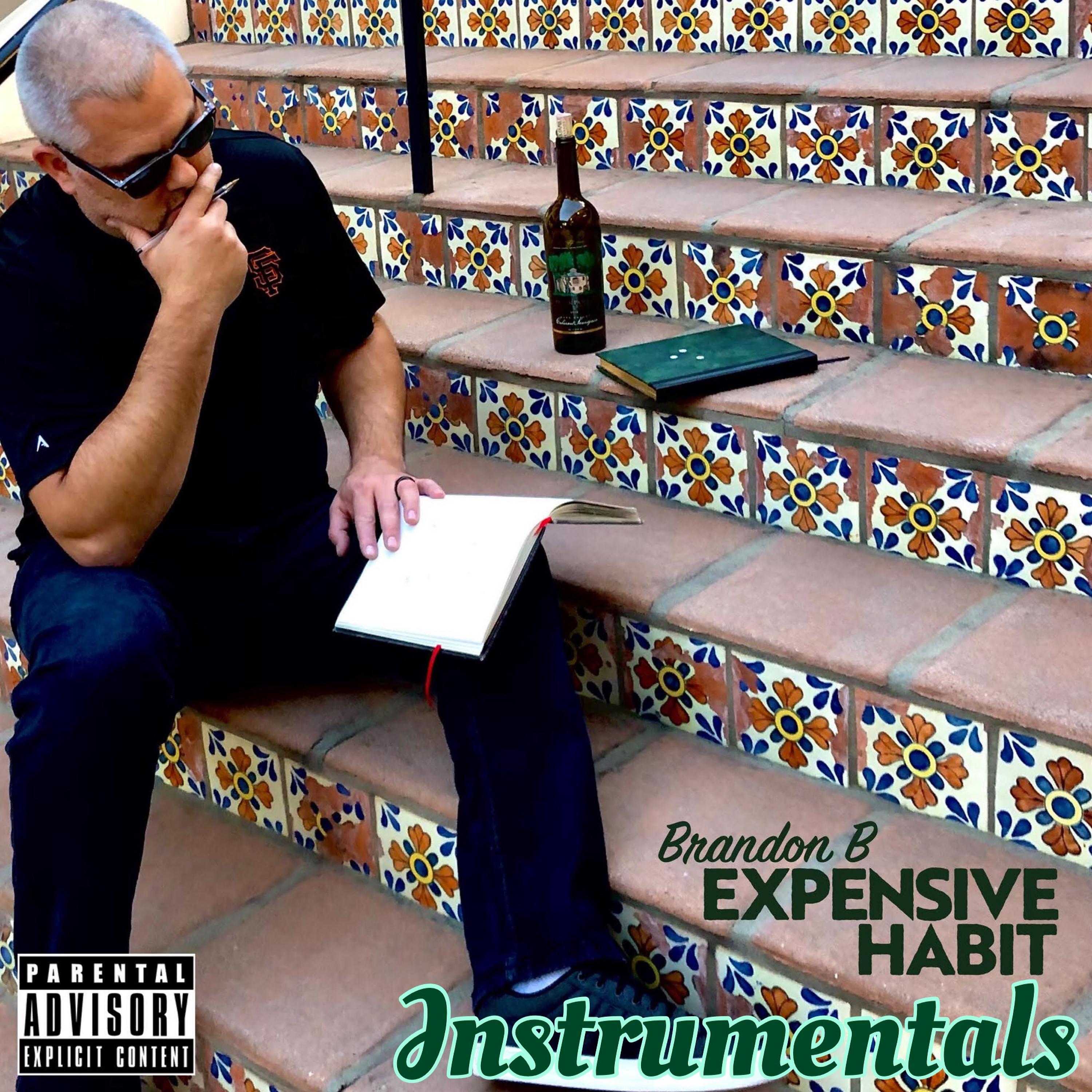 Постер альбома Expensive Habit Instrumentals