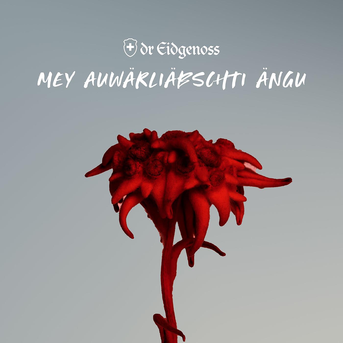 Постер альбома Mey auwärliäbschti Ängu