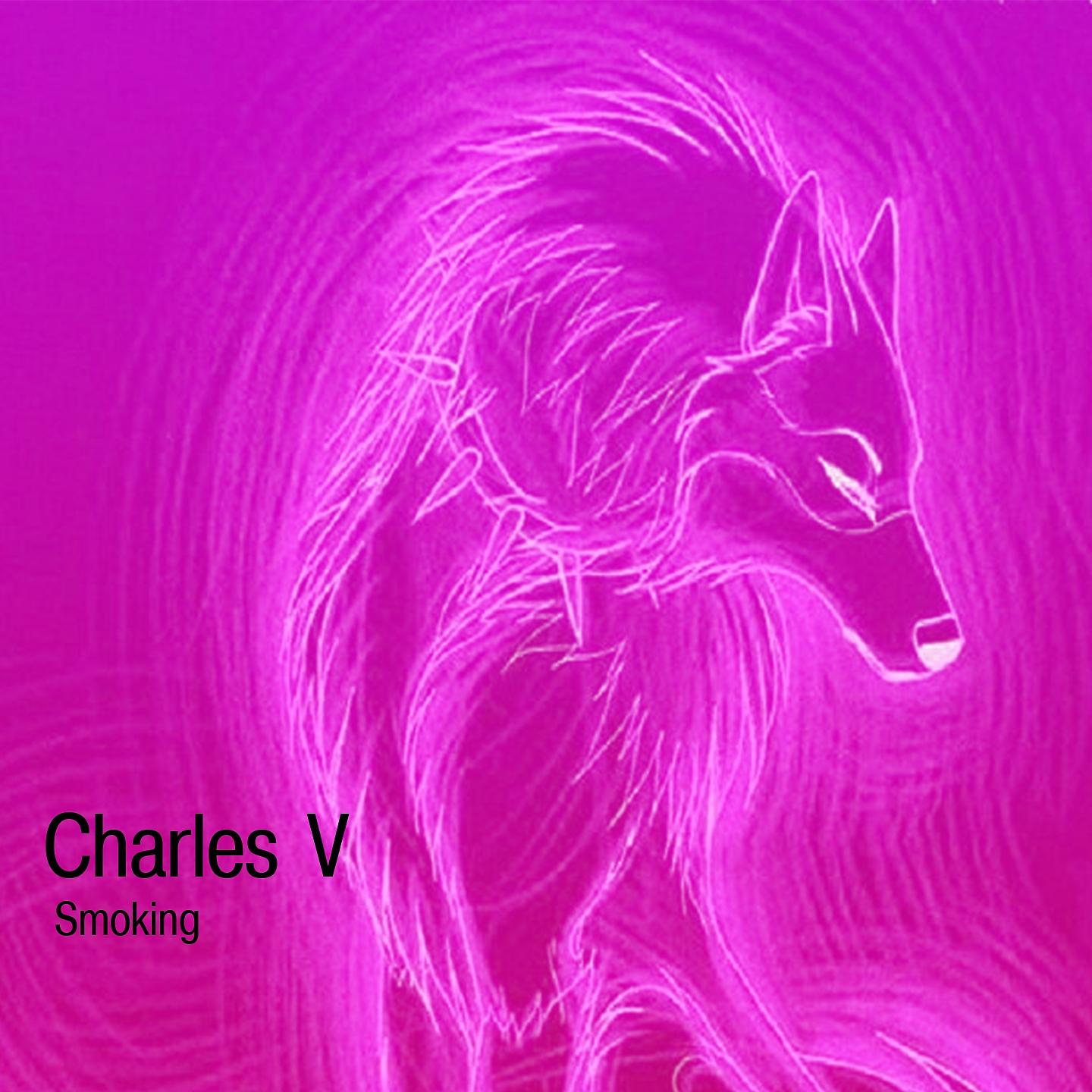 Постер альбома Chales V