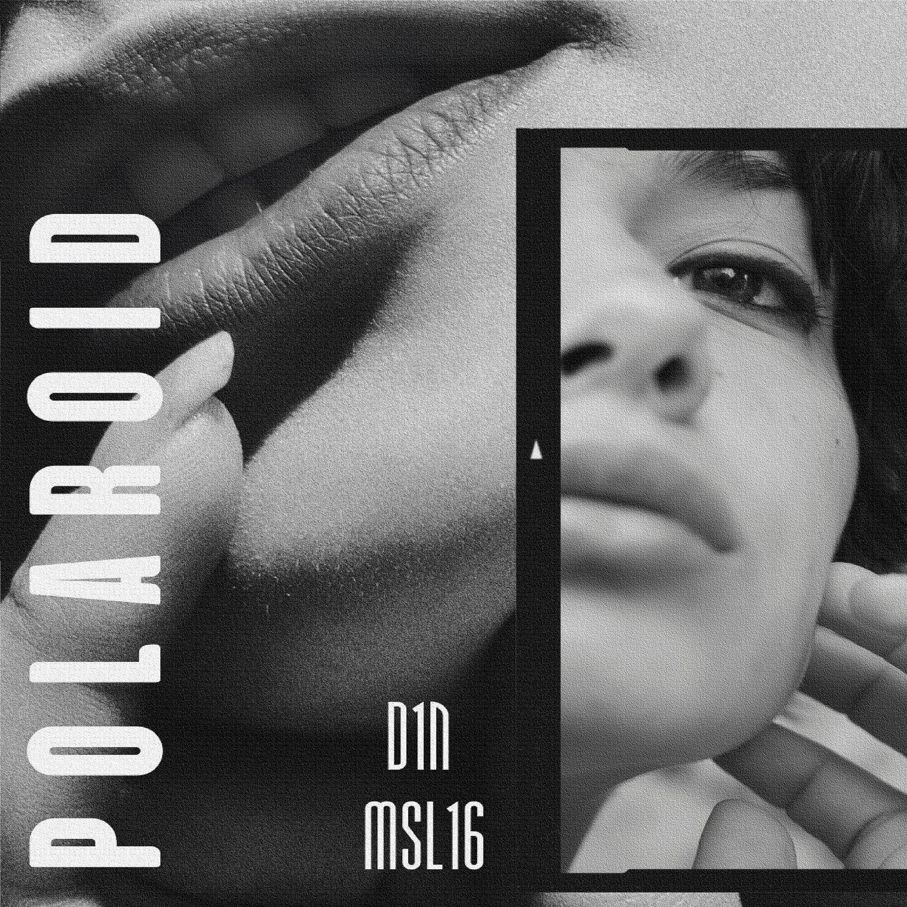 D1N - Polaroid