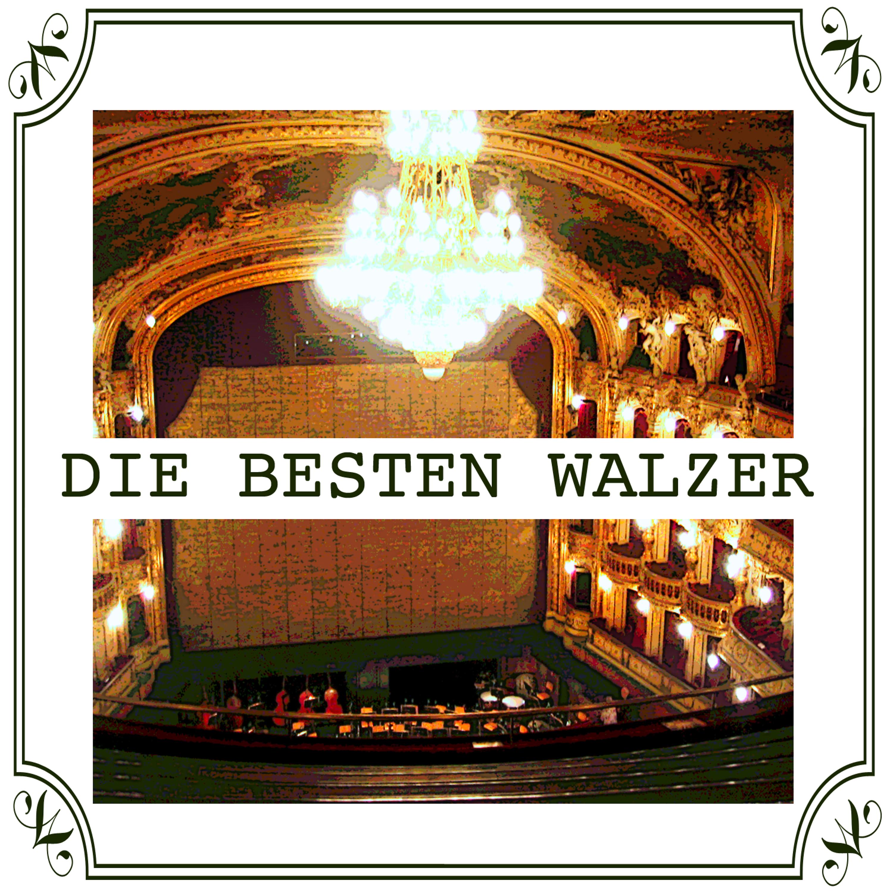 Постер альбома Die Besten Walzer
