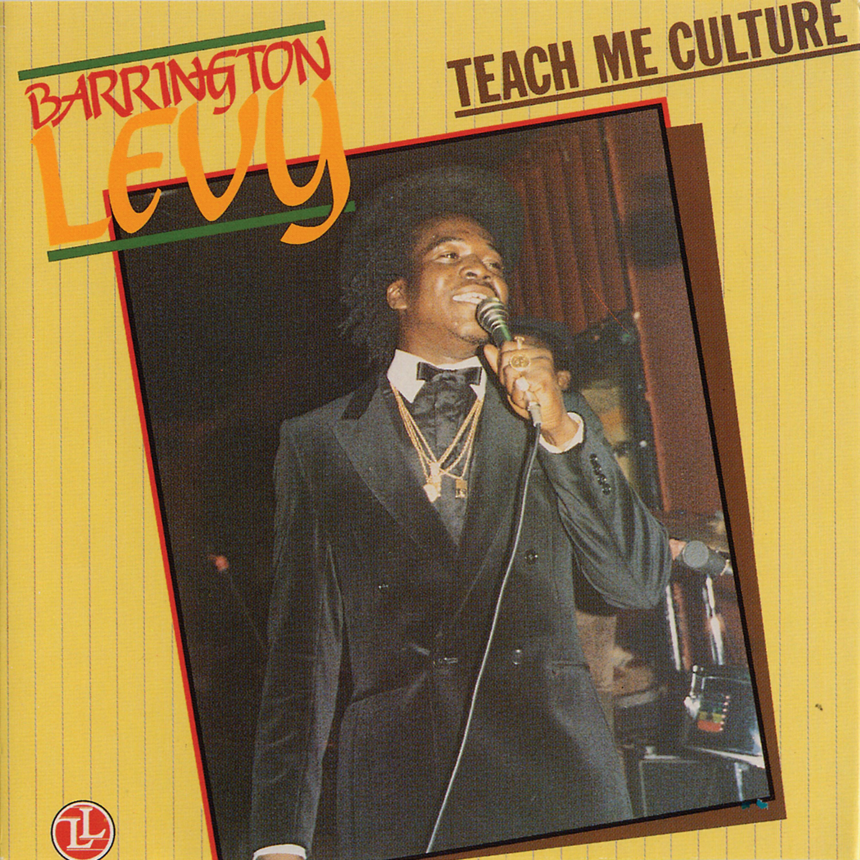 Постер альбома Teach Me Culture
