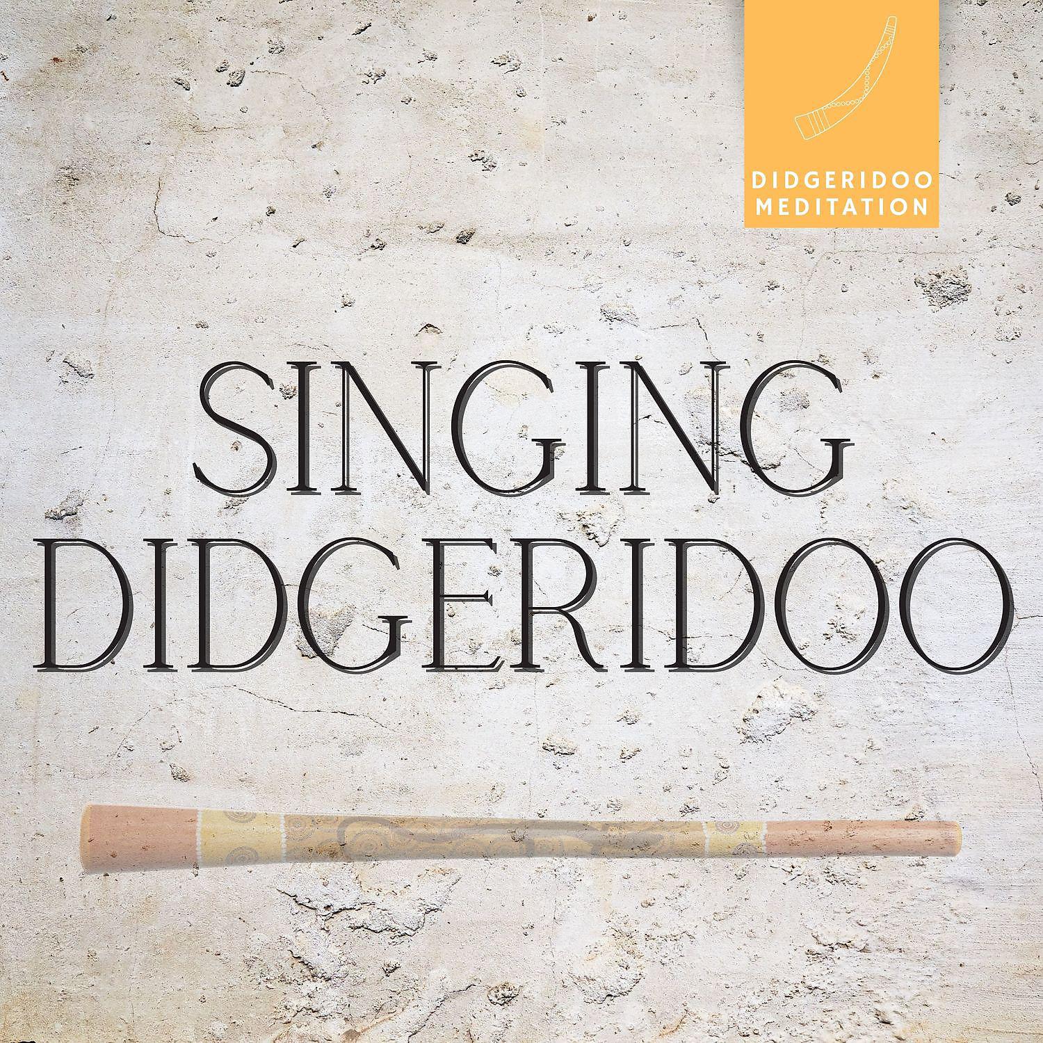 Постер альбома Singing Didgeridoo, Meditation & Yoga, Sleep Music