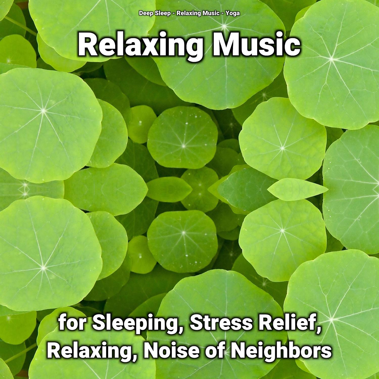 Постер альбома Relaxing Music for Sleeping, Stress Relief, Relaxing, Noise of Neighbors