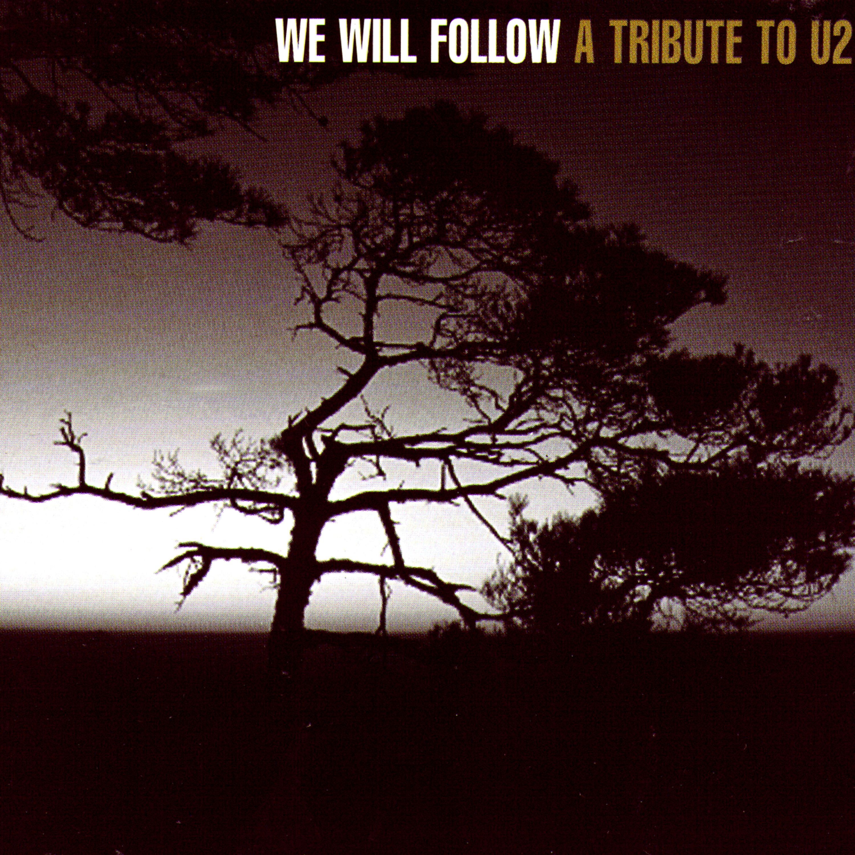 Постер альбома We Will Follow: A Tribute to U2