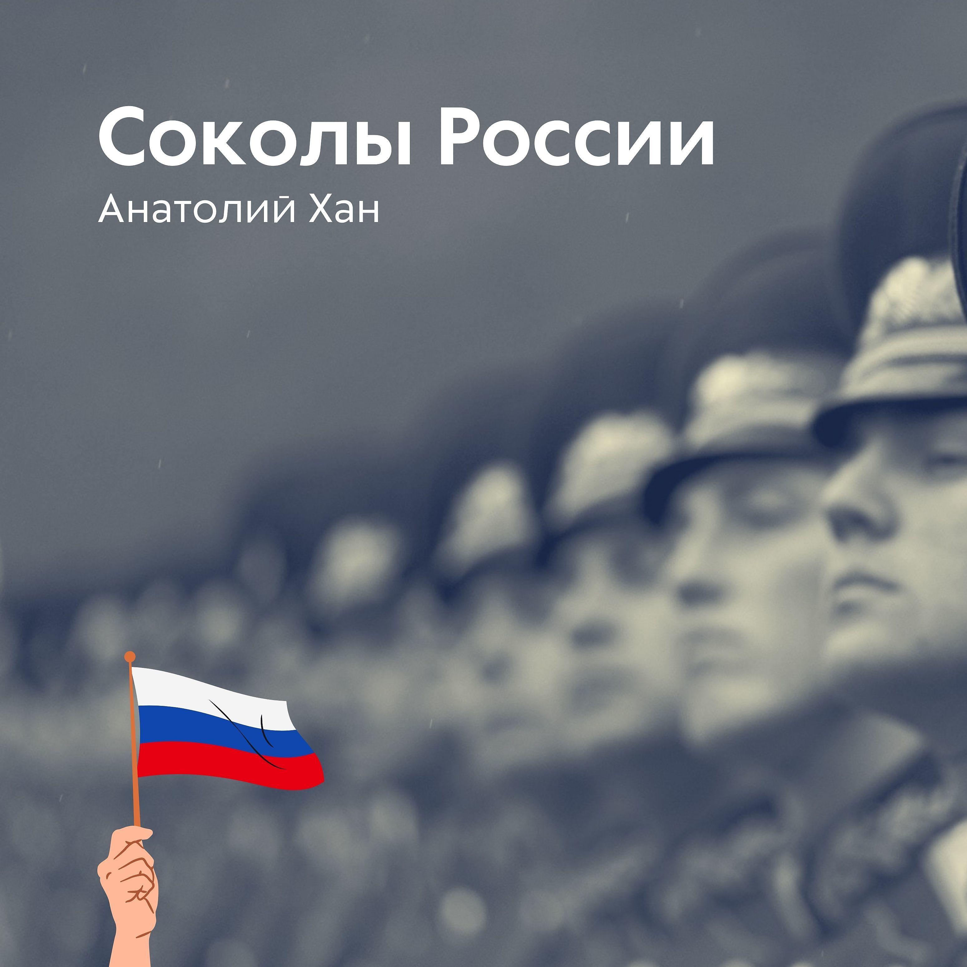 Постер альбома Соколы России