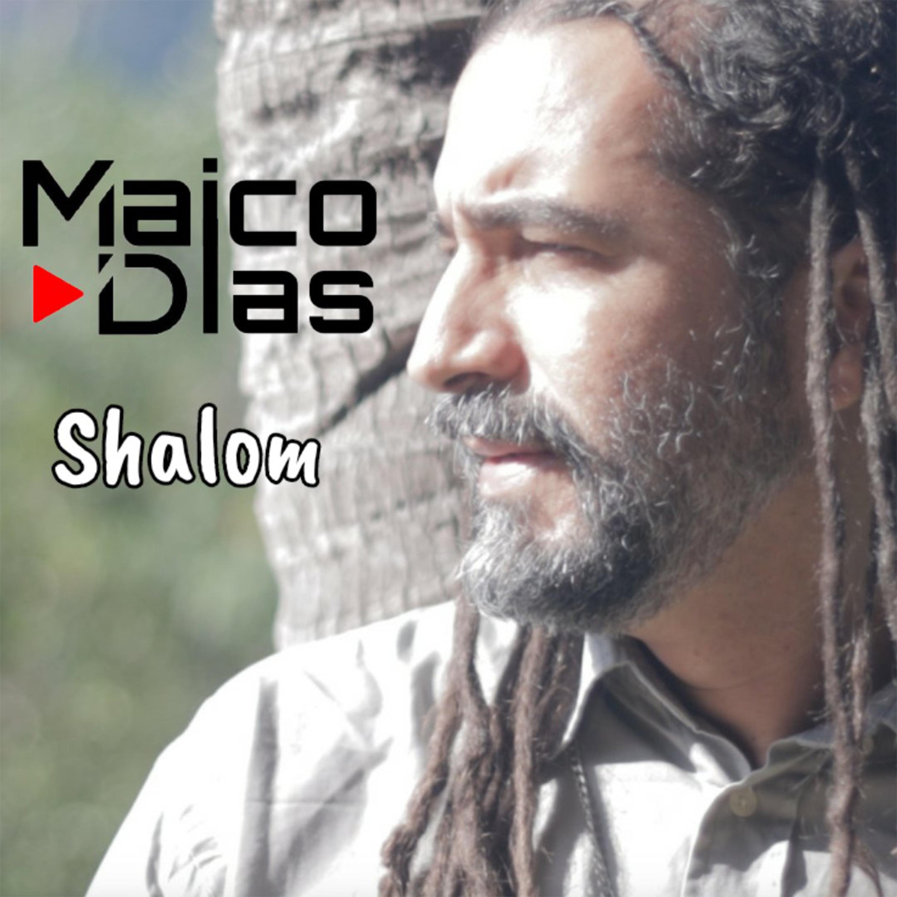 Постер альбома Shalom