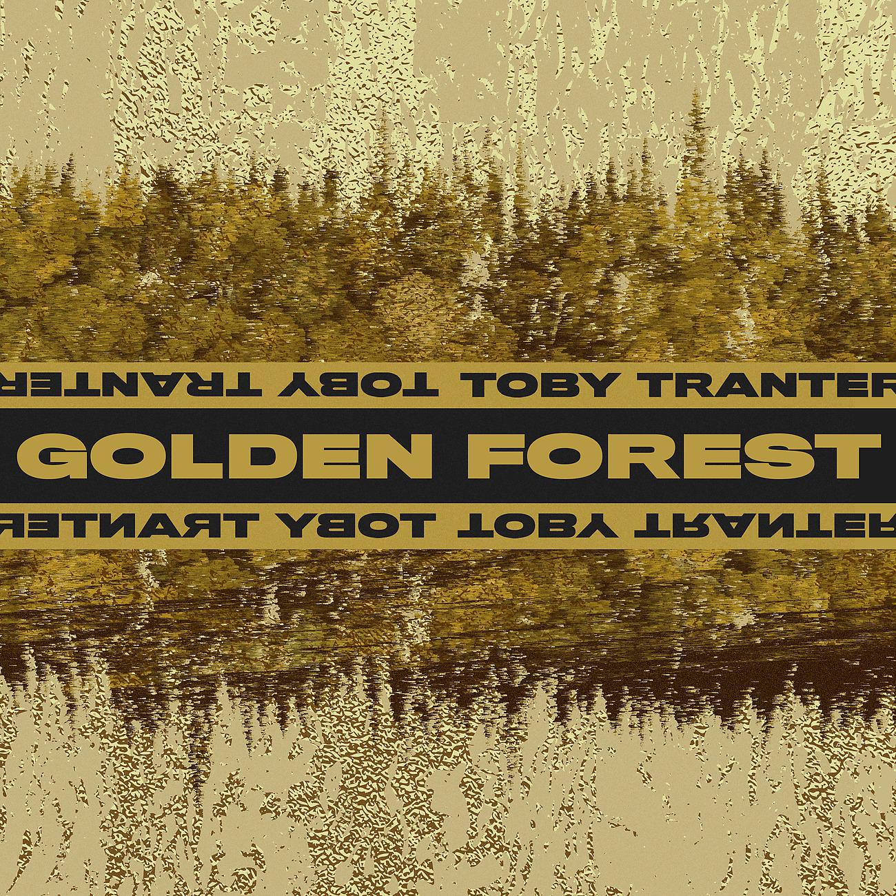 Постер альбома Golden Forest