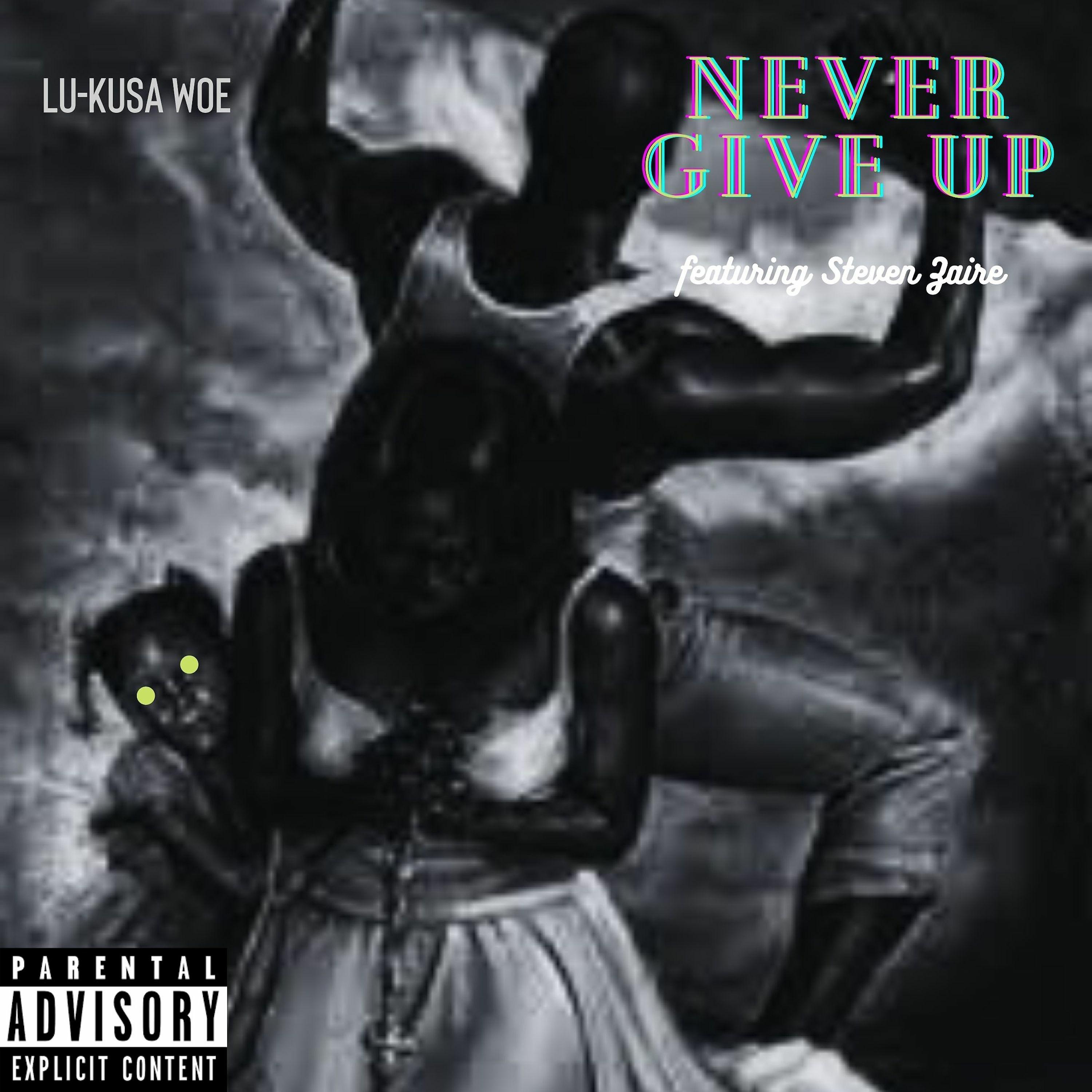 Постер альбома Never Give Up (feat. Steven Zaire)