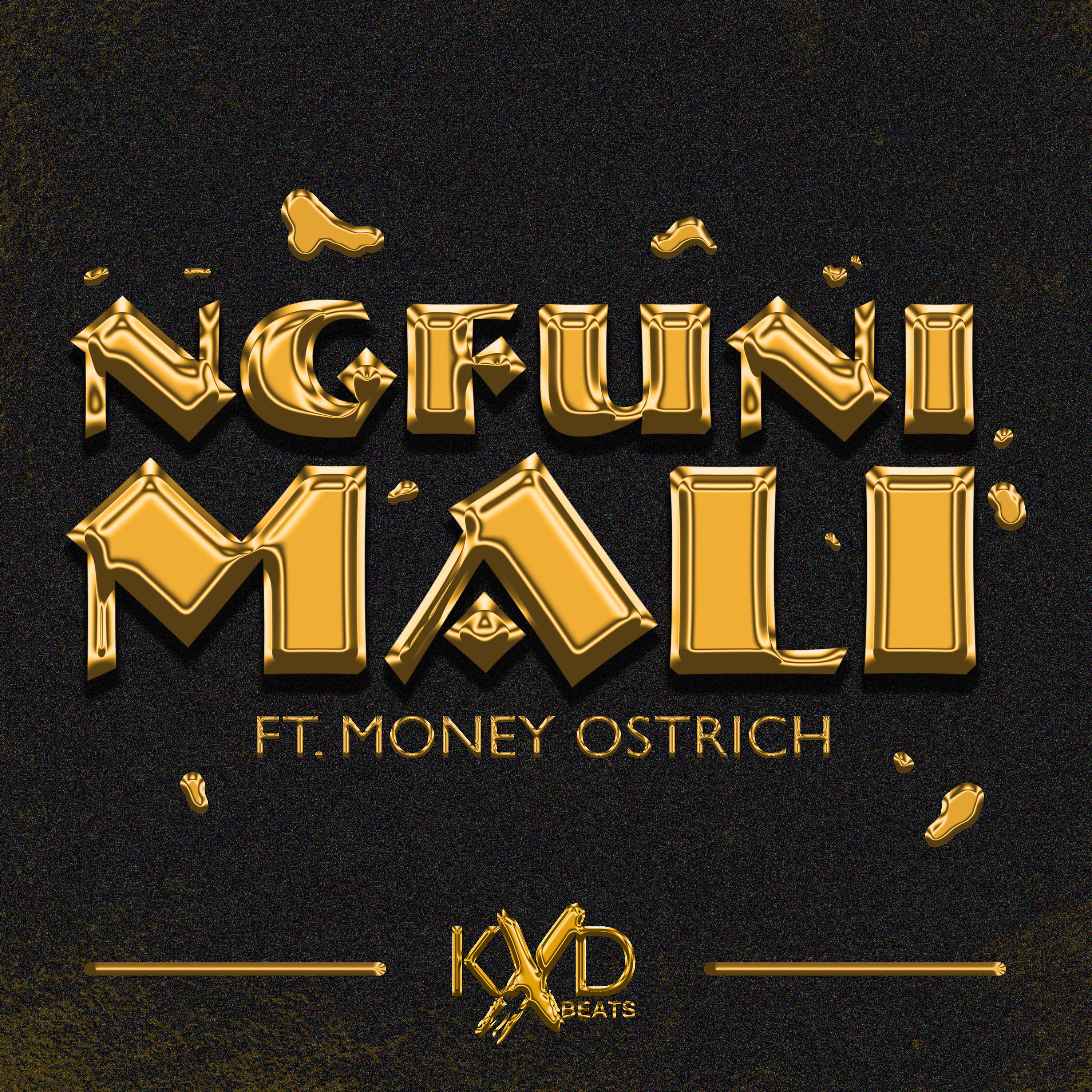 Постер альбома Ngfuni Mali (feat. Money Ostrich)