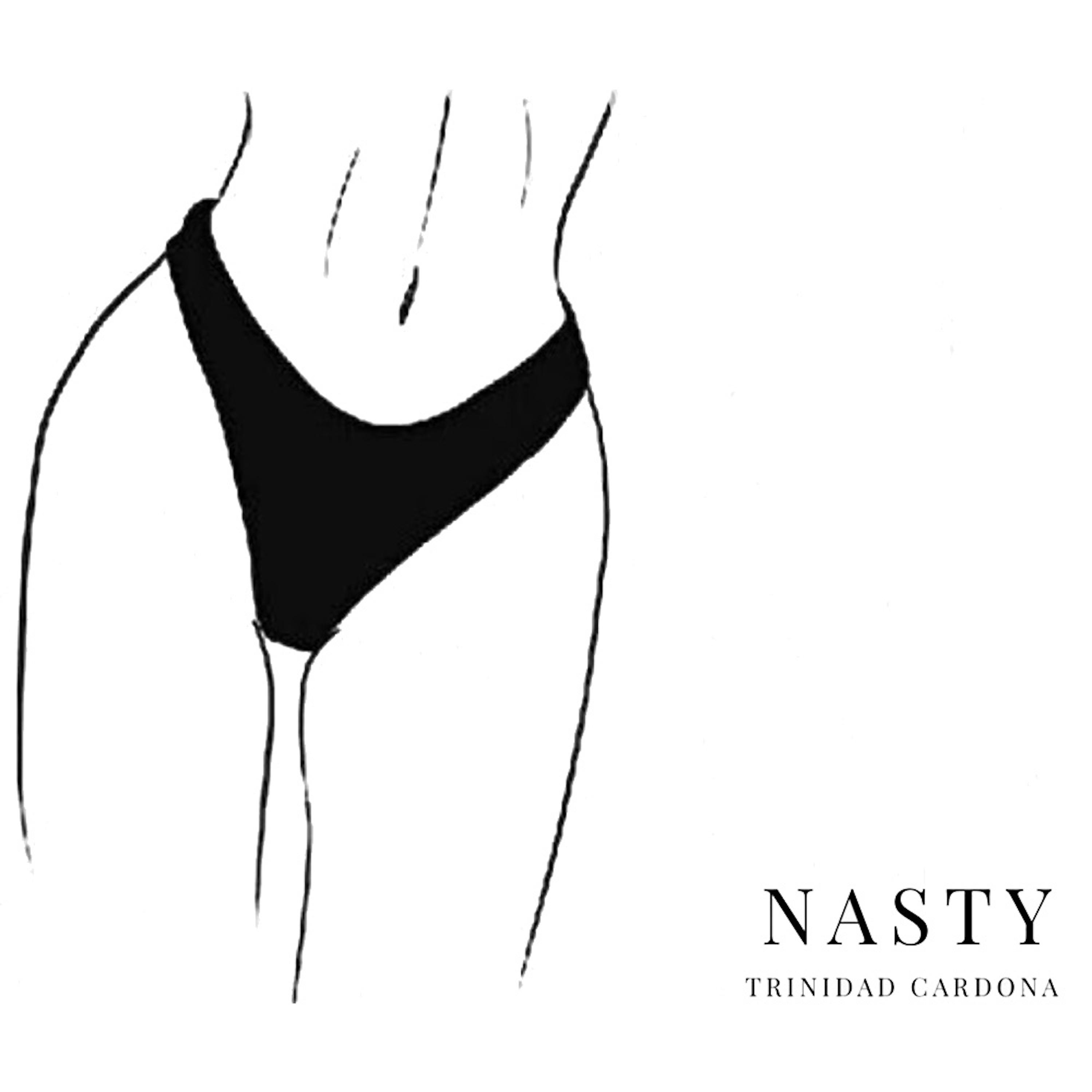 Постер альбома Nasty