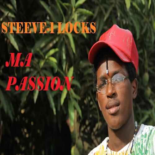 Steeve 1 Locks - S. T. E. E. V. E