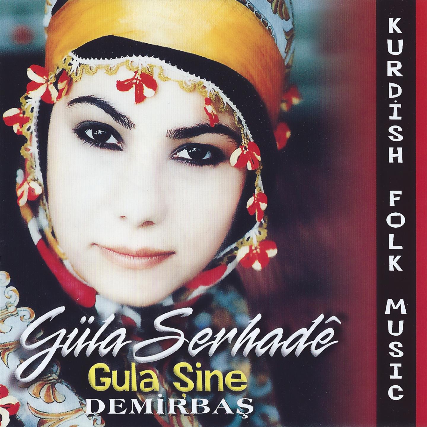 Постер альбома Gula Şine / Demirbaş