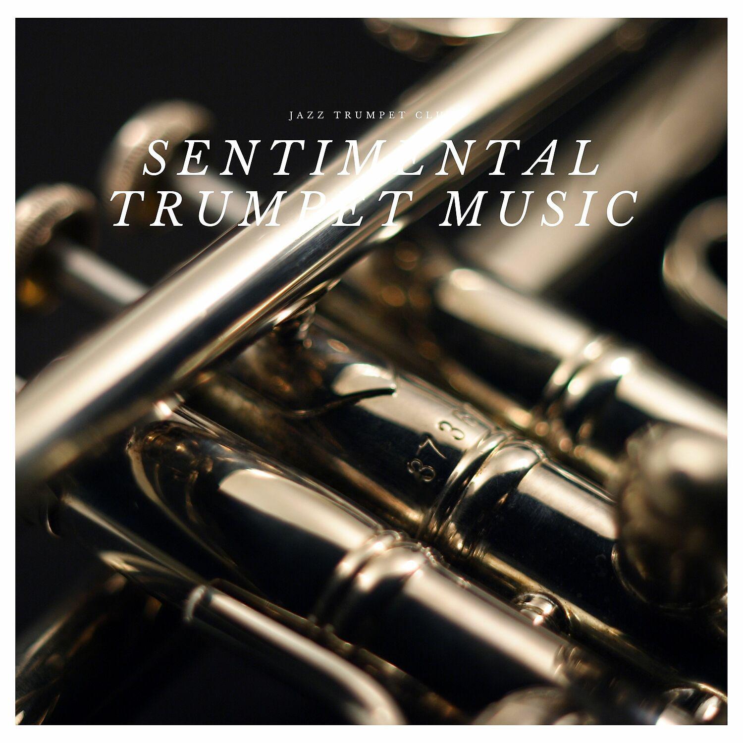 Постер альбома Sentimental Trumpet Music, Smooth Jazz