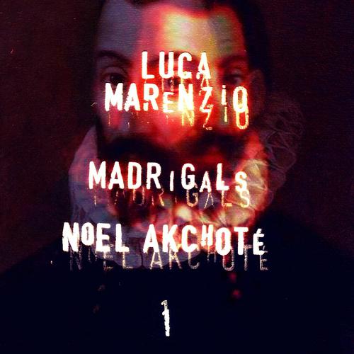 Постер альбома Luca Marenzio: Madrigals, vol. 1