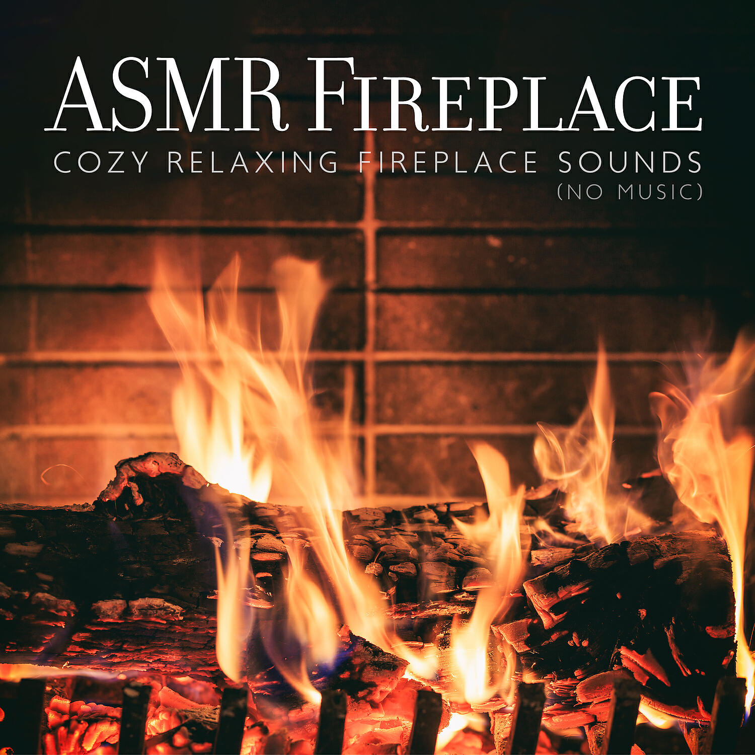 ASMR Zone - Reading