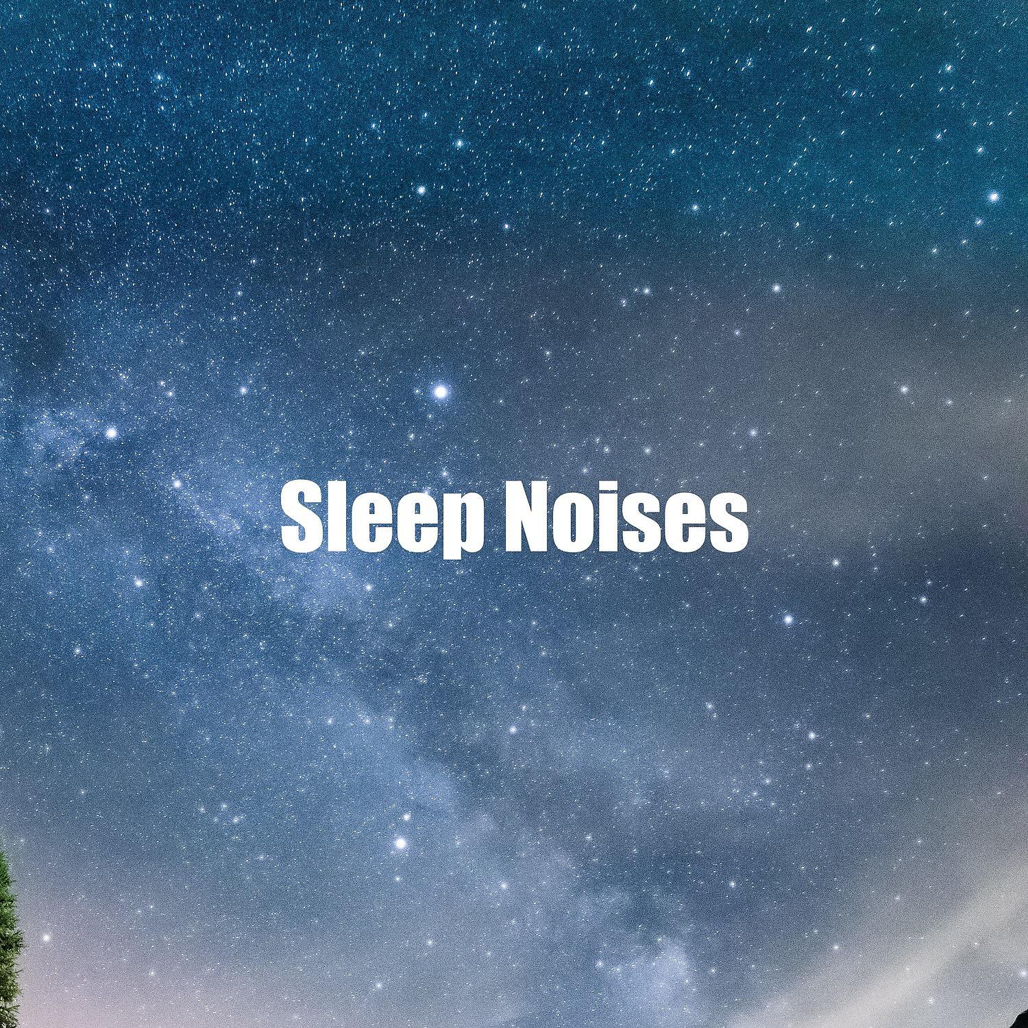 Постер альбома Sleep Noises