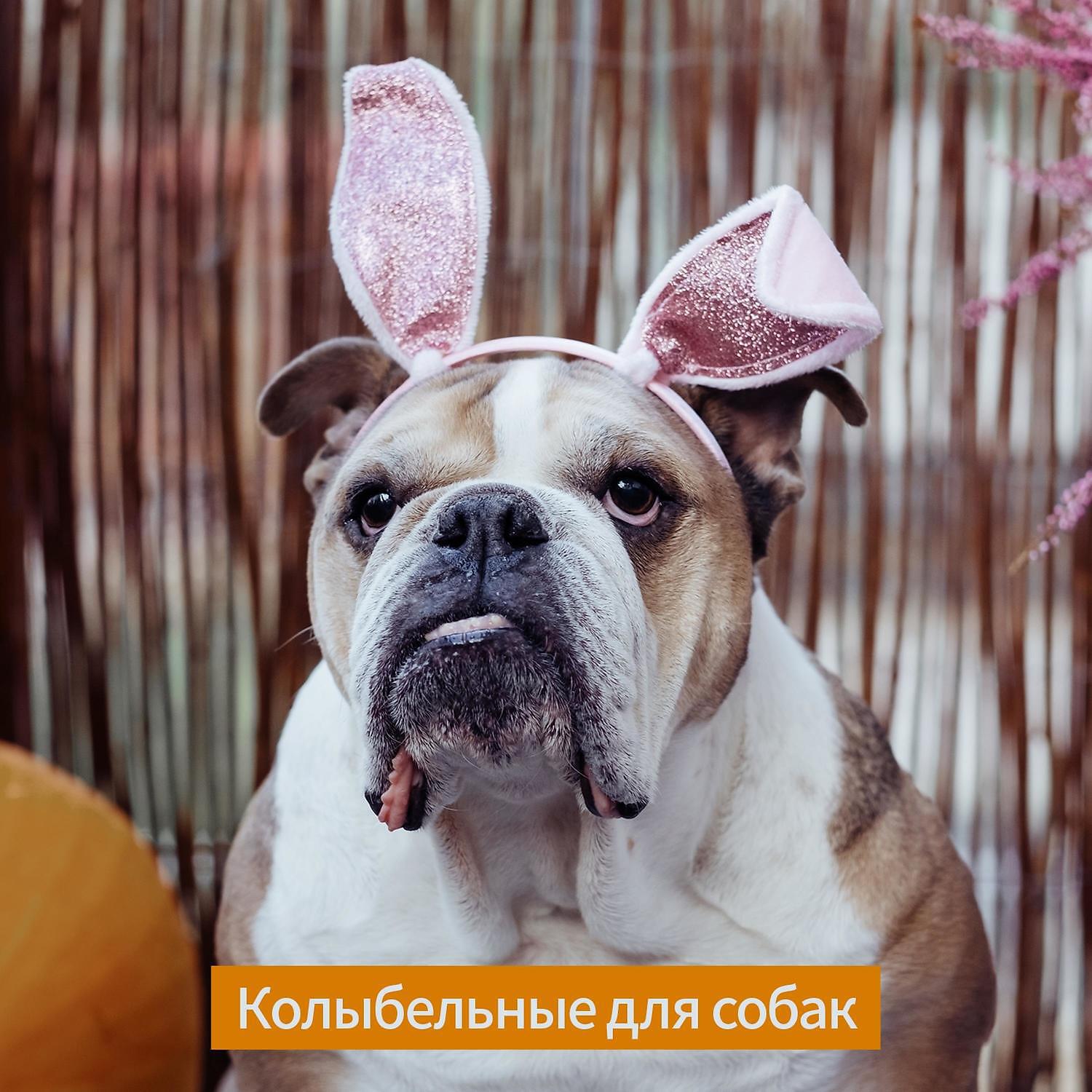 RW Спящий щенок - Фортепианная музыка для собак