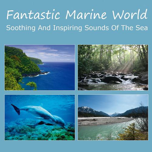 Постер альбома Fantastic Marine World: Soothing and Inspiring Sounds of the Sea