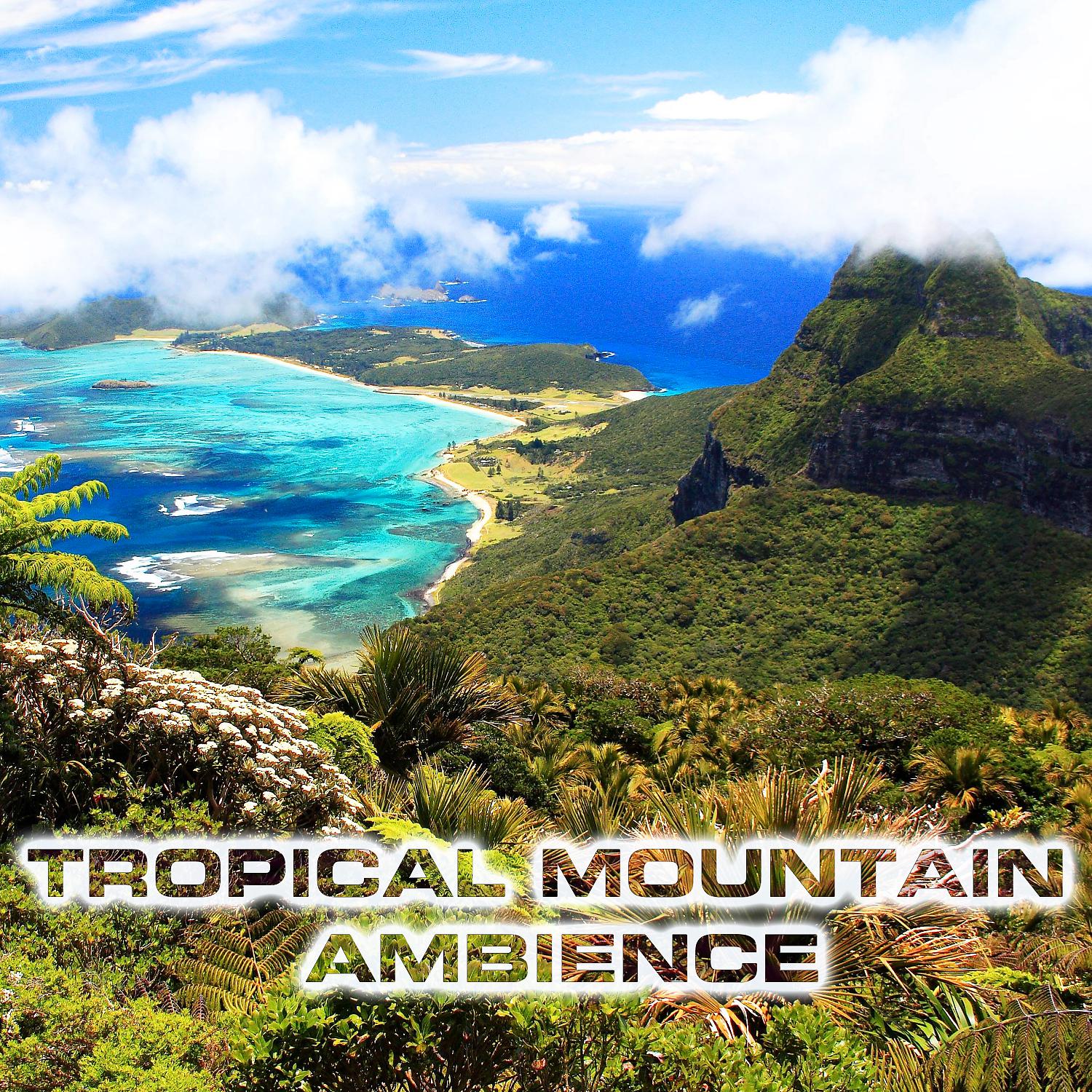Постер альбома Tropical Mountain Ambience
