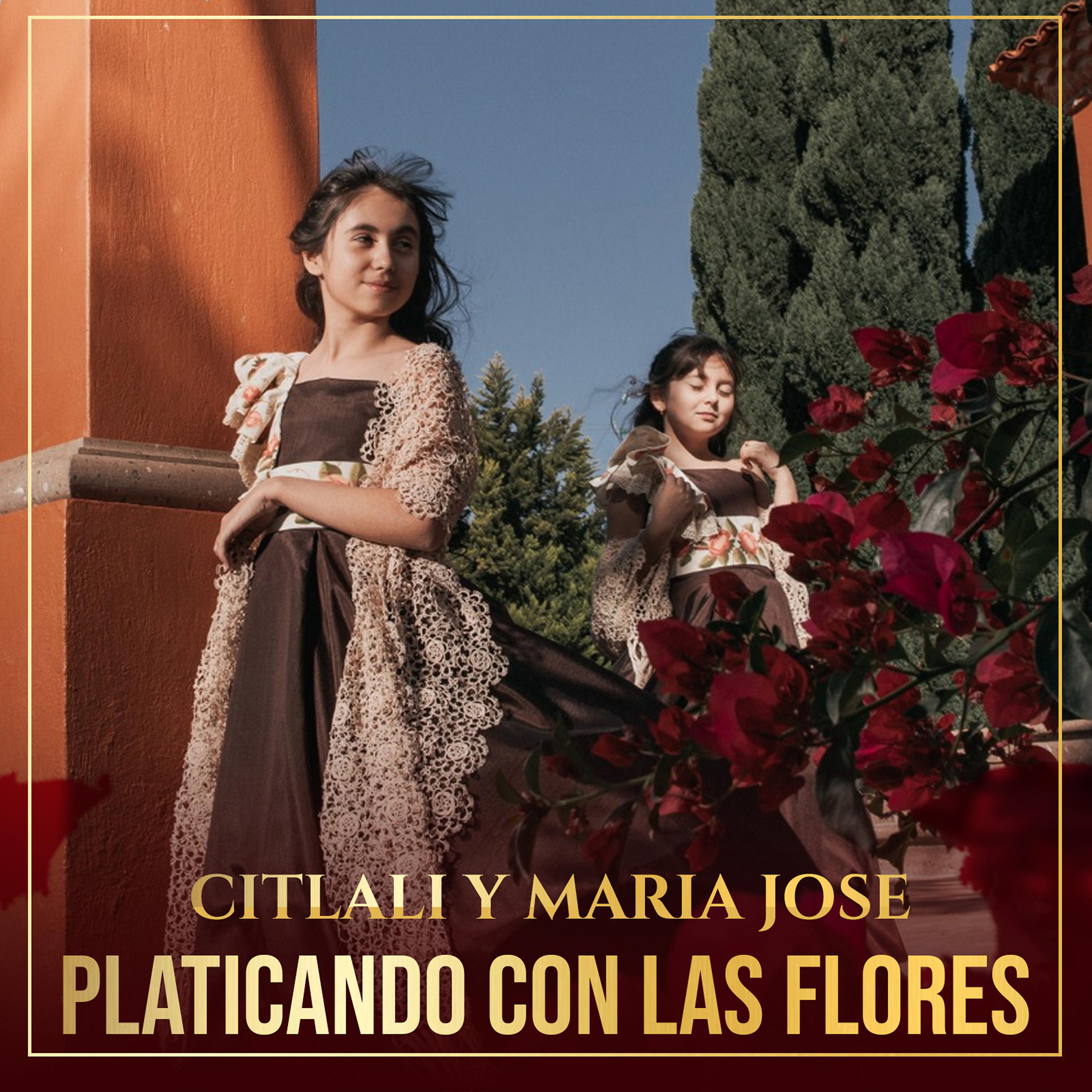Постер альбома Platicando Con las Flores