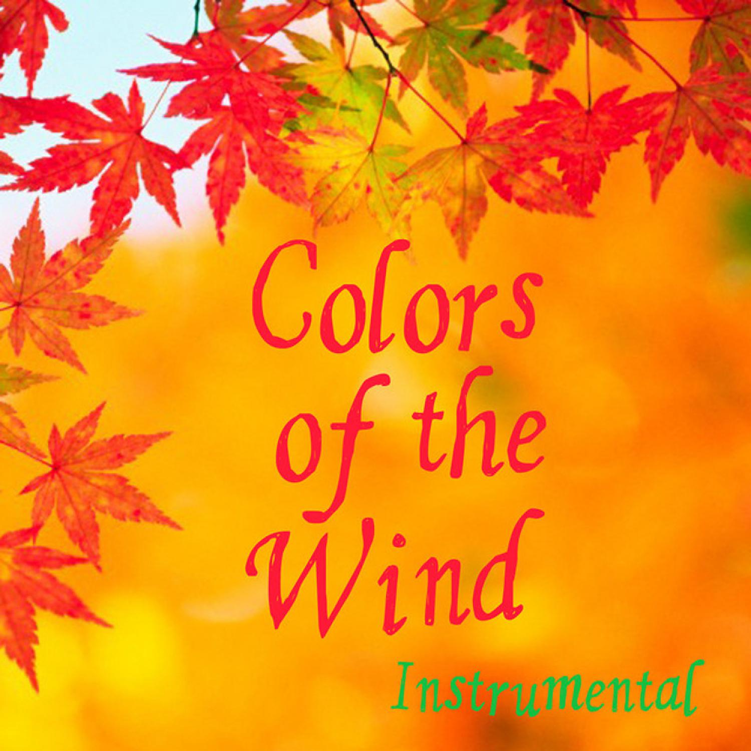 Постер альбома Colors of the Wind Instrumental