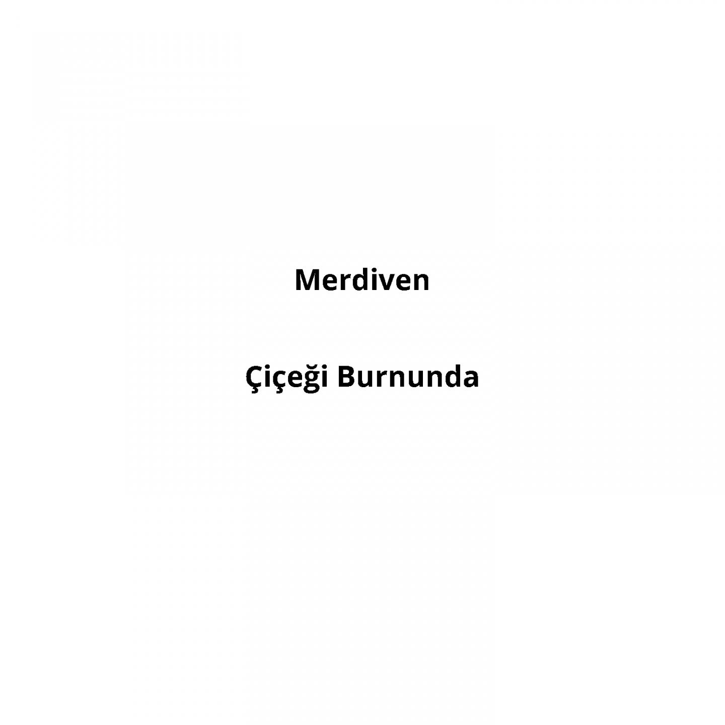 Постер альбома Çiçeği Burnunda