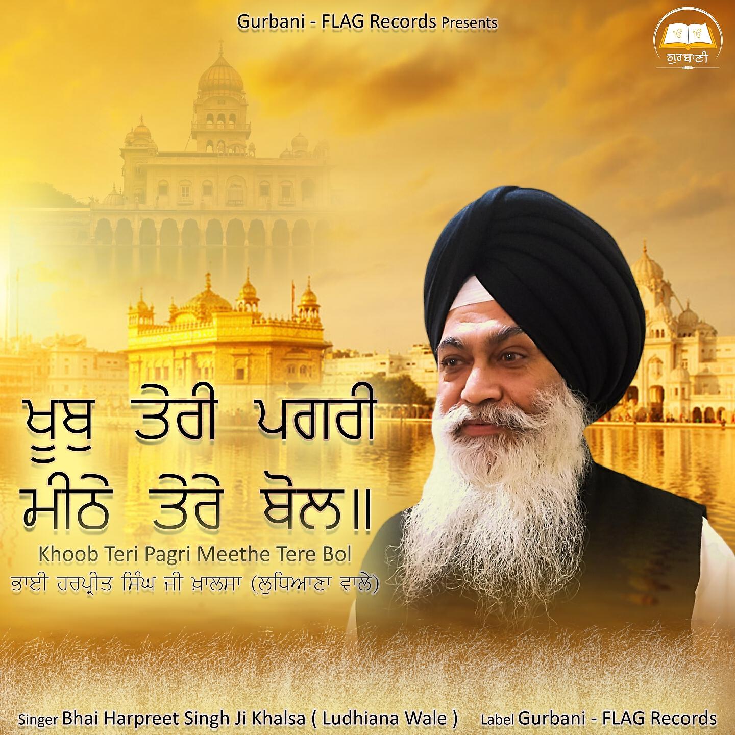 Bhai Harpreet Singh ji khalsa - Khoob Teri Pagri Meethe Tere bol