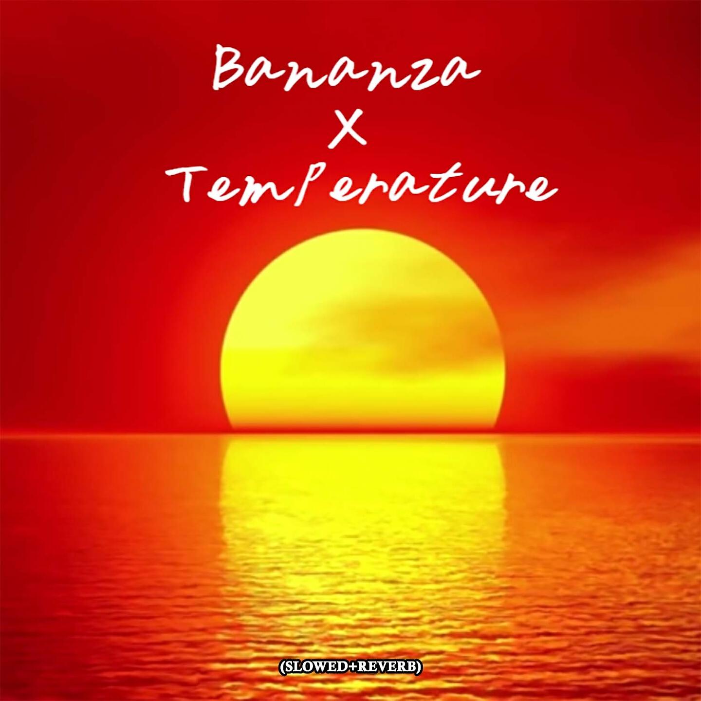Vineet Raj - Bananza X Temperature (Slowed Reverb)