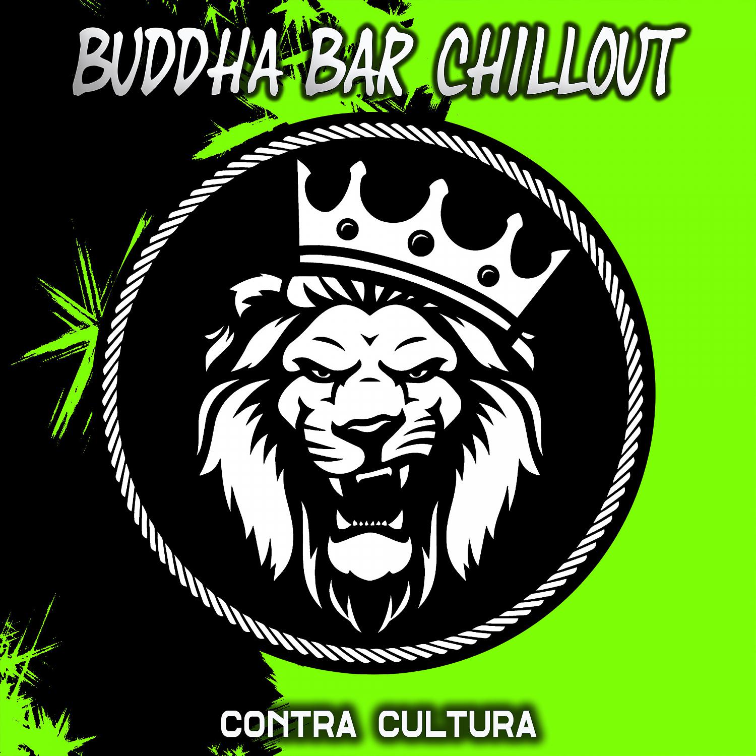 Постер альбома Contra Cultura
