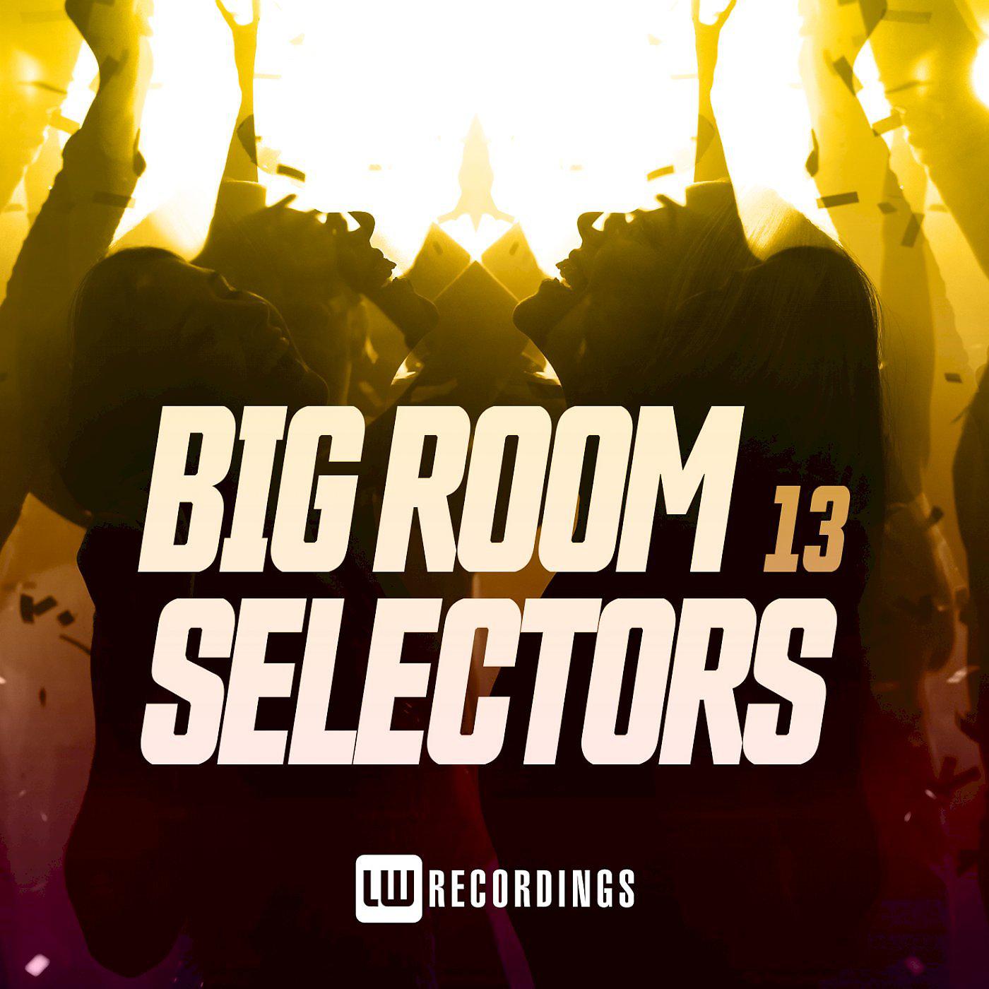 Постер альбома Big Room Selectors, 13
