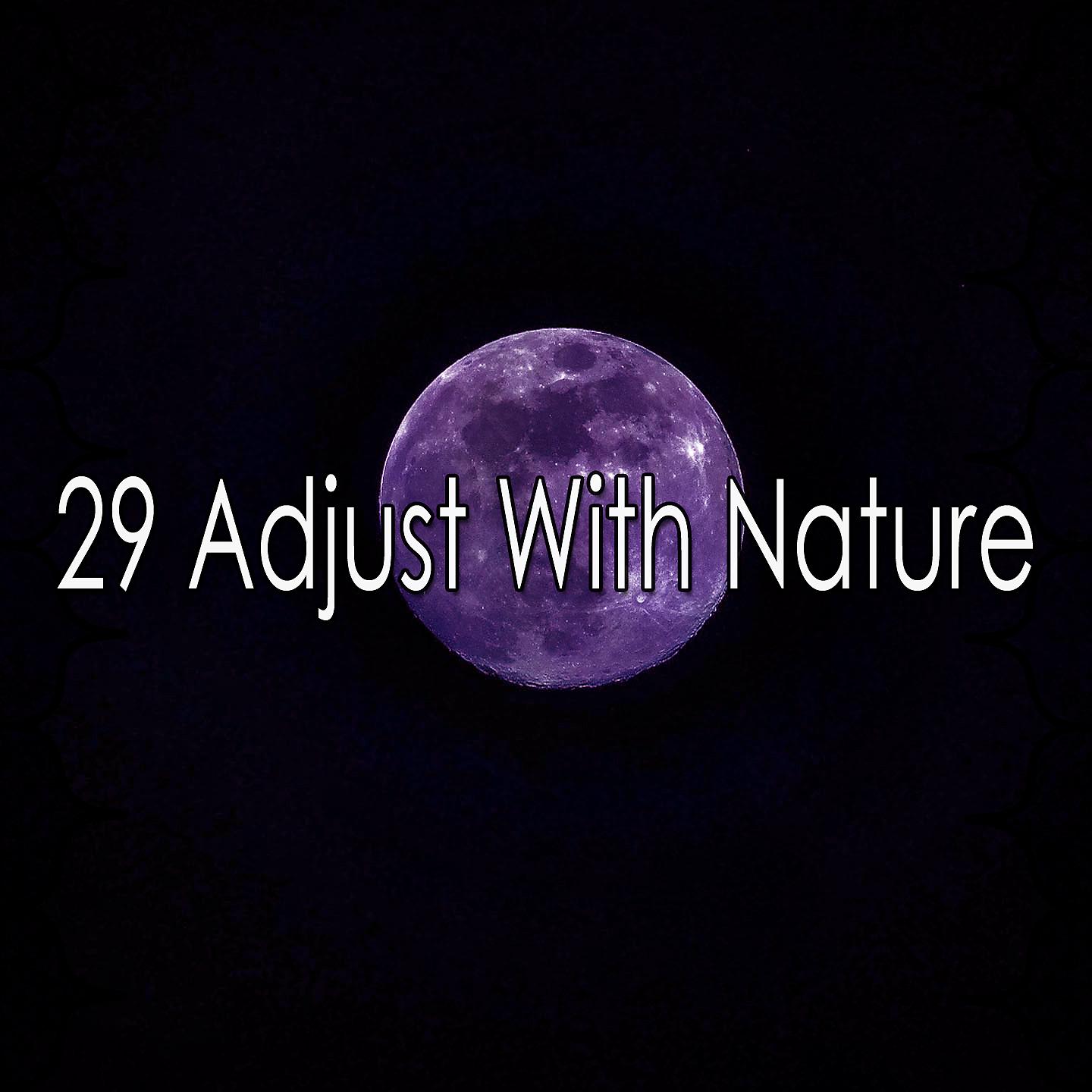 Постер альбома 29 Приспосабливайтесь к природе