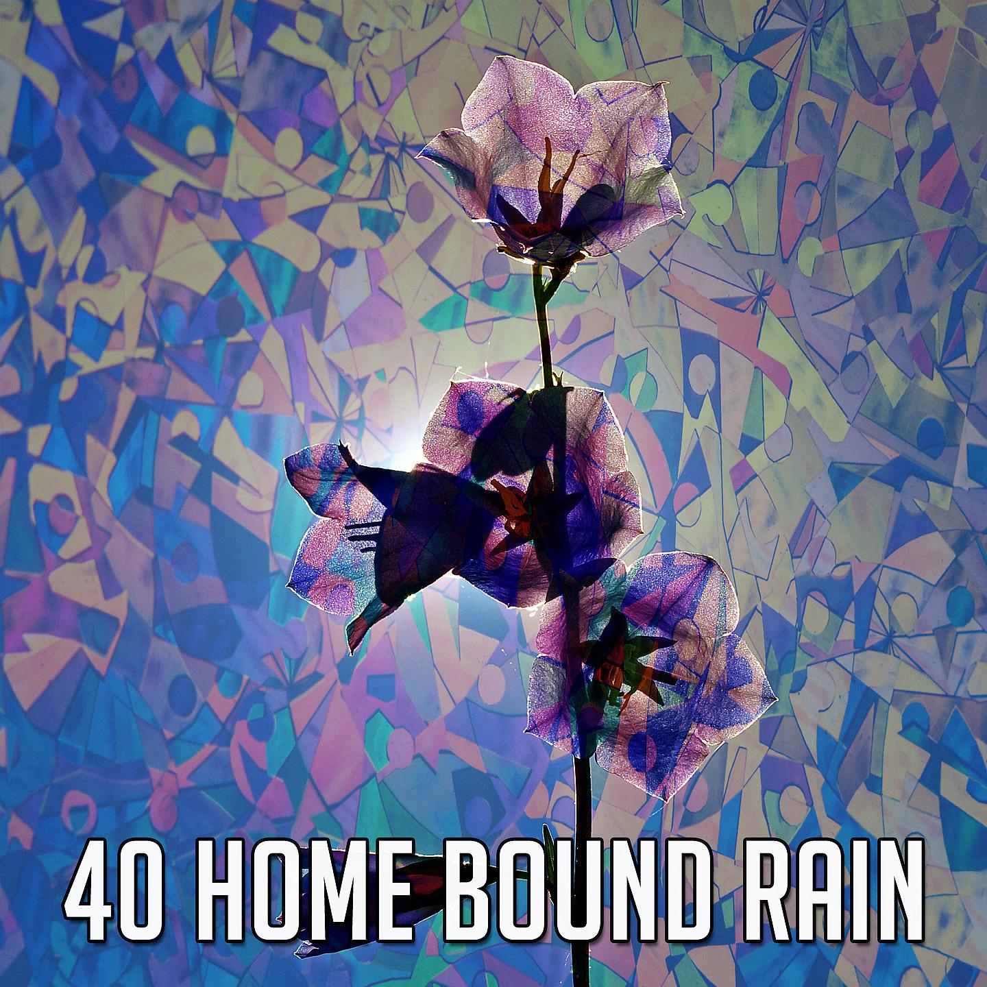 Постер альбома 40 Дождь, связанный с домом