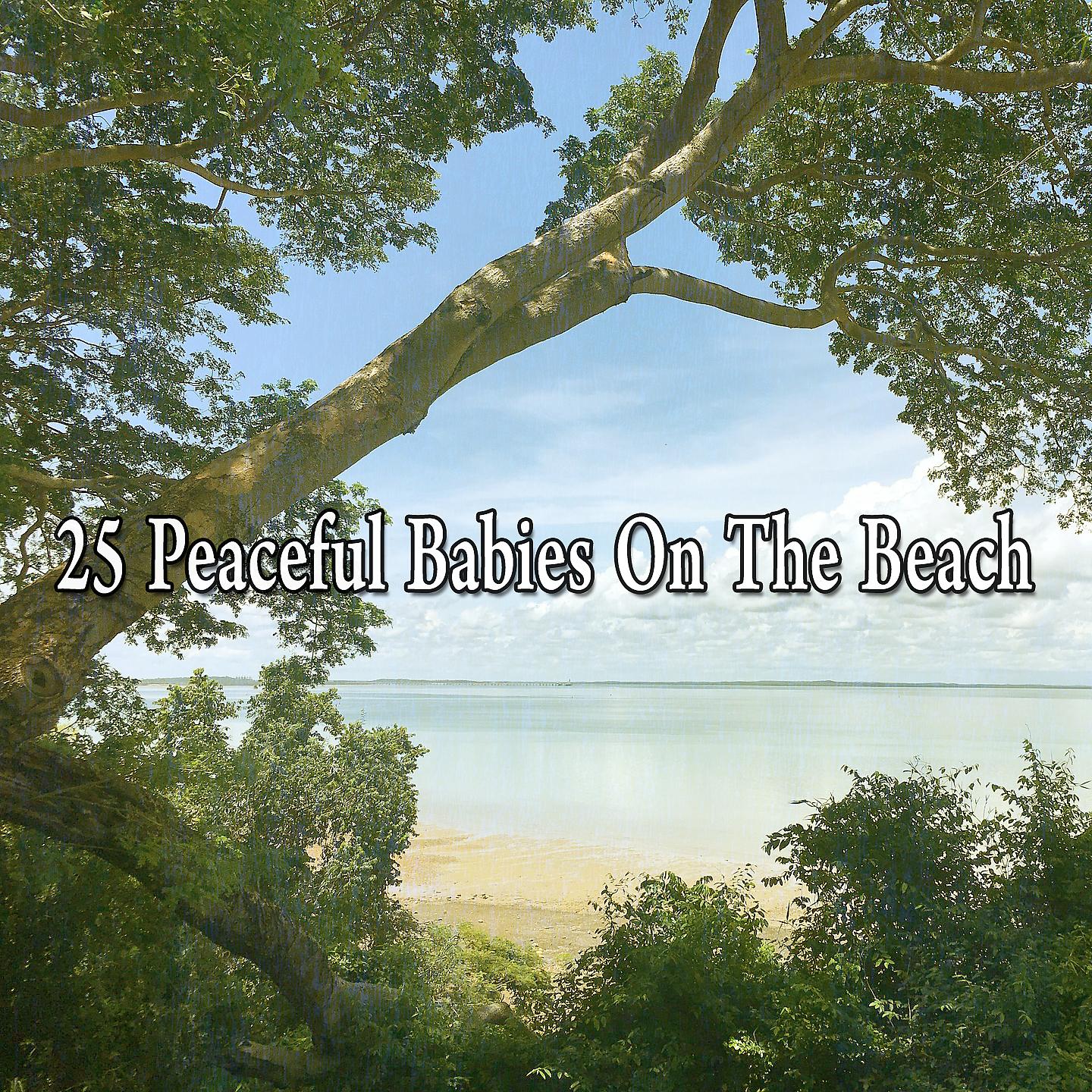 Постер альбома 25 мирных младенцев на пляже