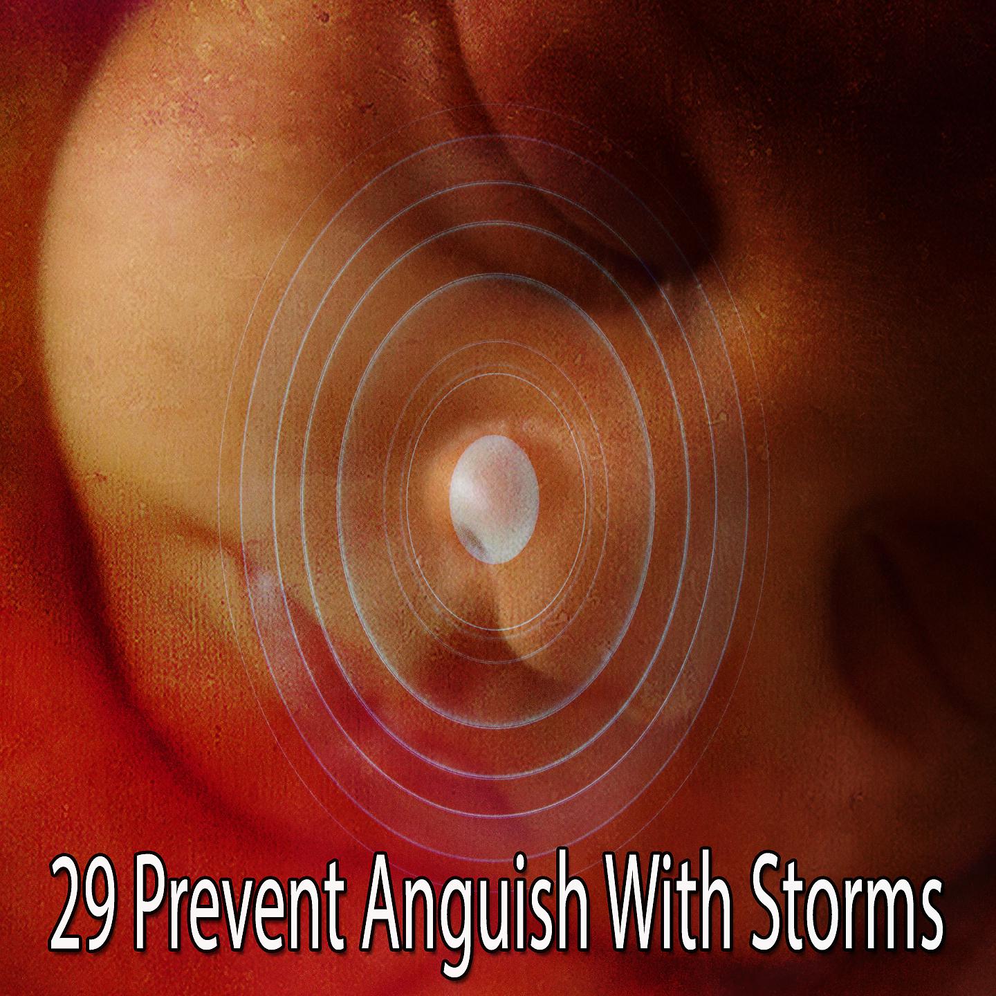 Постер альбома 29 Предотвратить страдания с помощью штормов