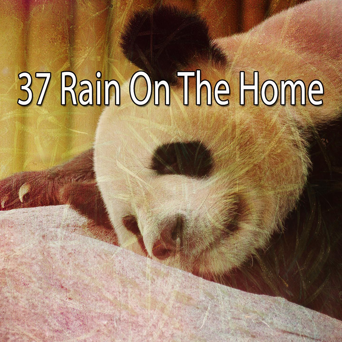 Постер альбома 37 Дождь в доме