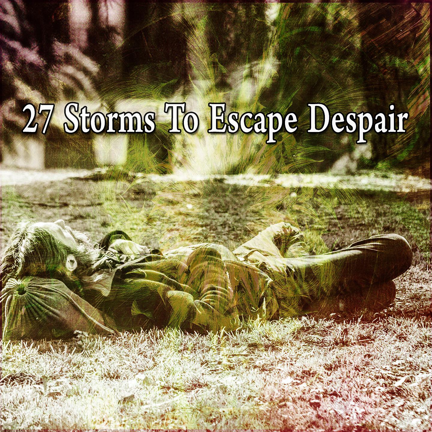 Постер альбома 27 штормов, чтобы избежать отчаяния
