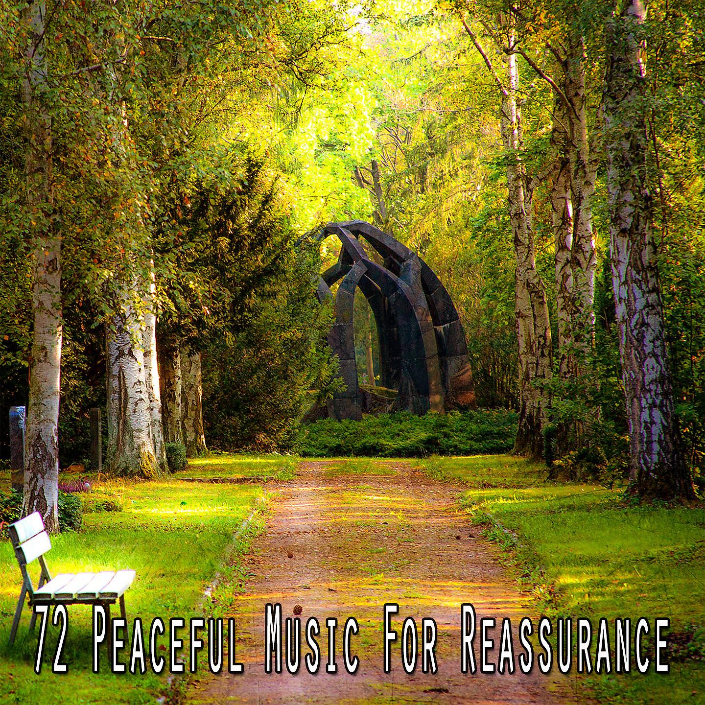 Постер альбома 72 Умиротворяющая музыка для успокоения