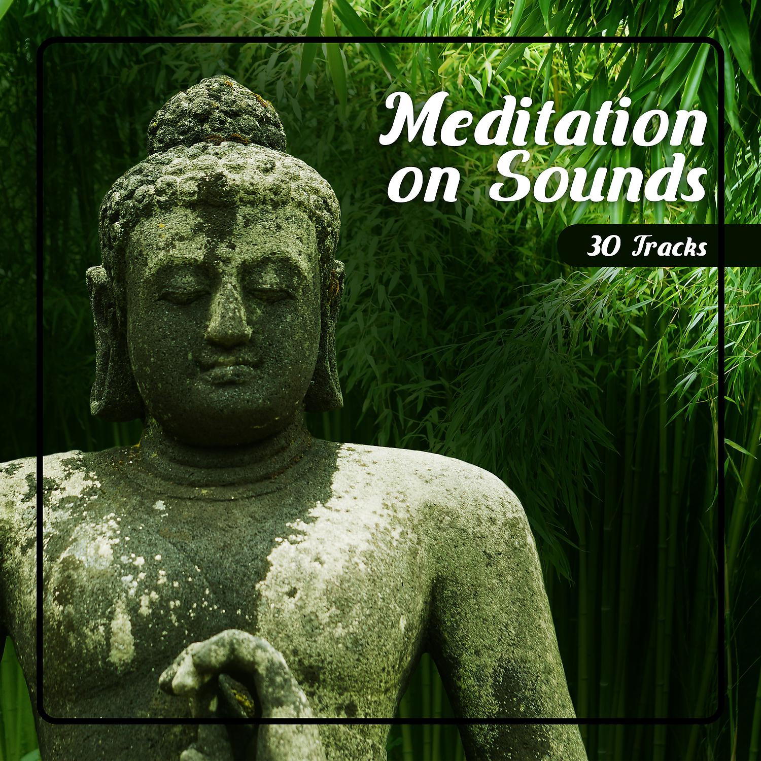 Постер альбома Meditation on Sounds - 30 Tracks, Take a Moment, Pause and Just Listen: Mindfulness Practice
